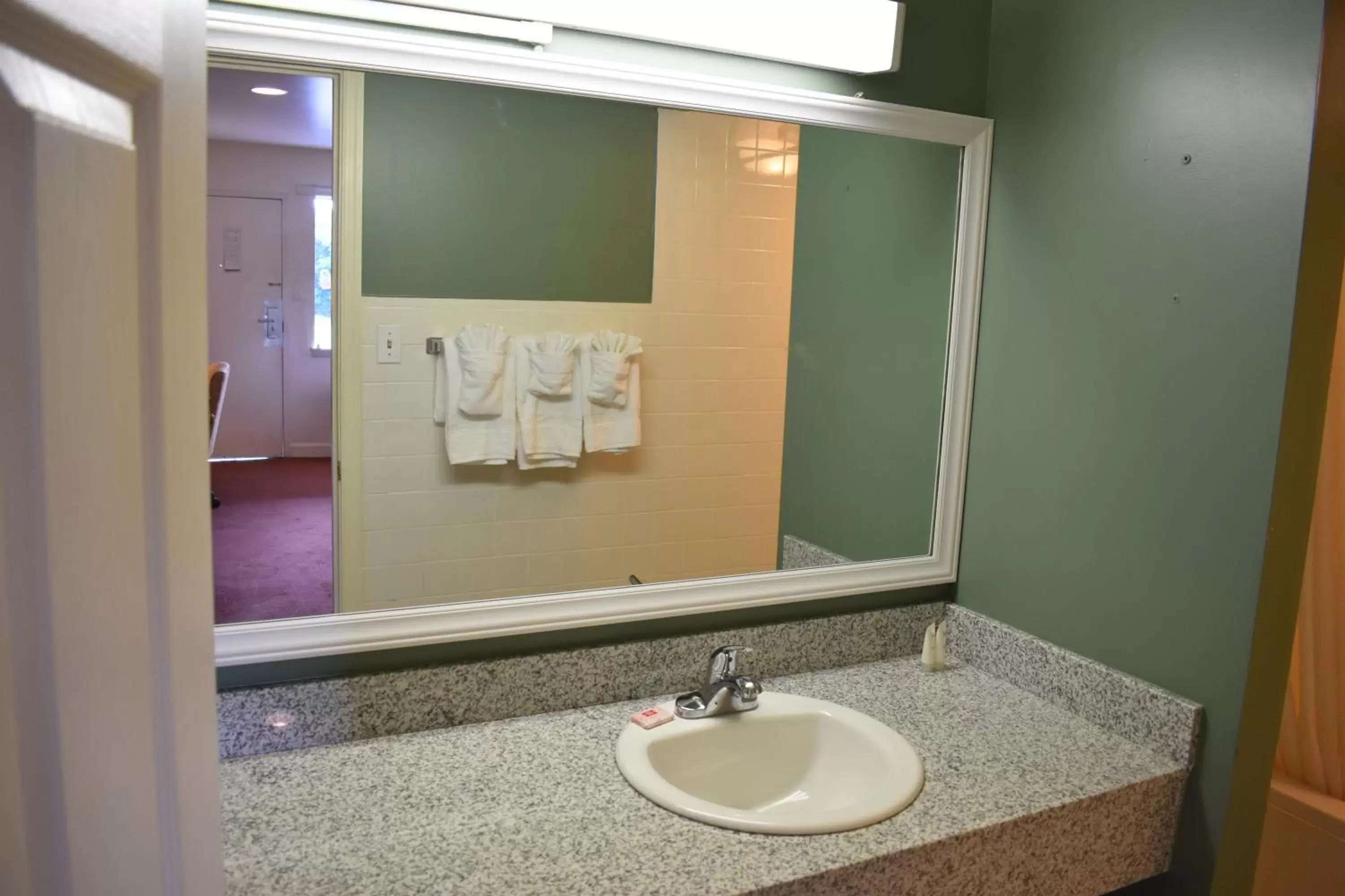 Bathroom in Red Carpet Inn and Suites Culpeper