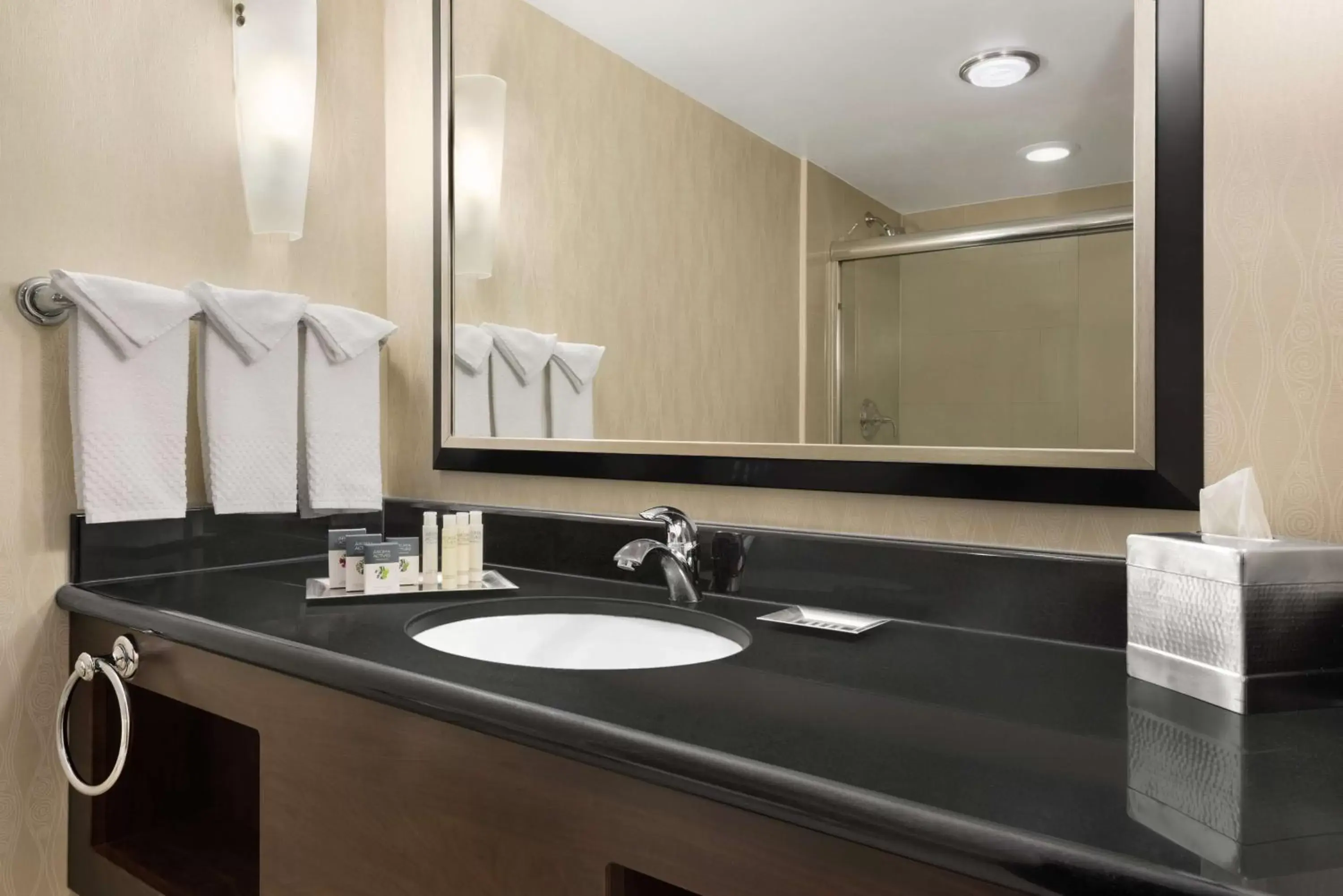 Bathroom in DoubleTree by Hilton Wichita Airport