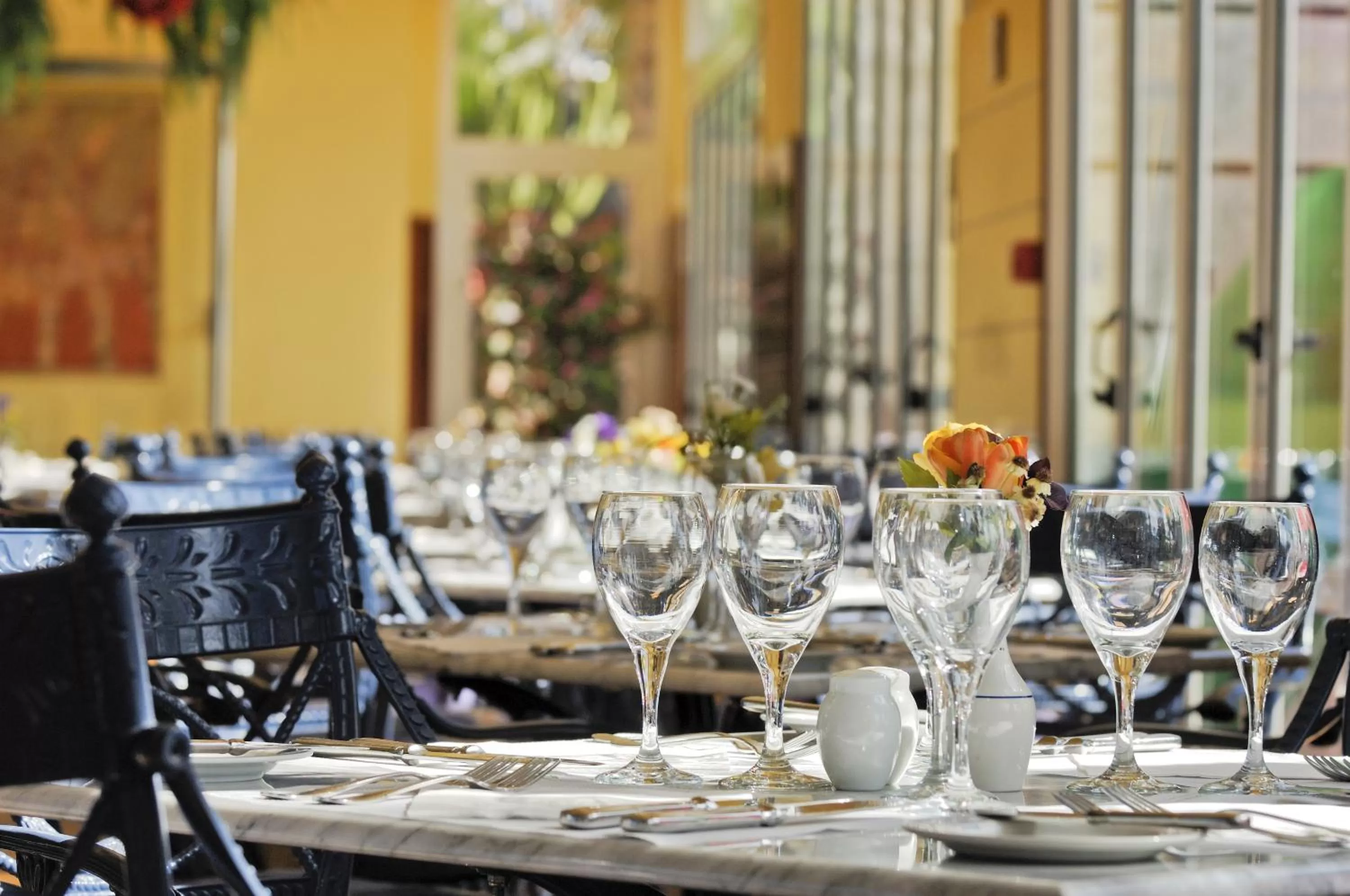 Restaurant/places to eat in VIK Hotel San Antonio