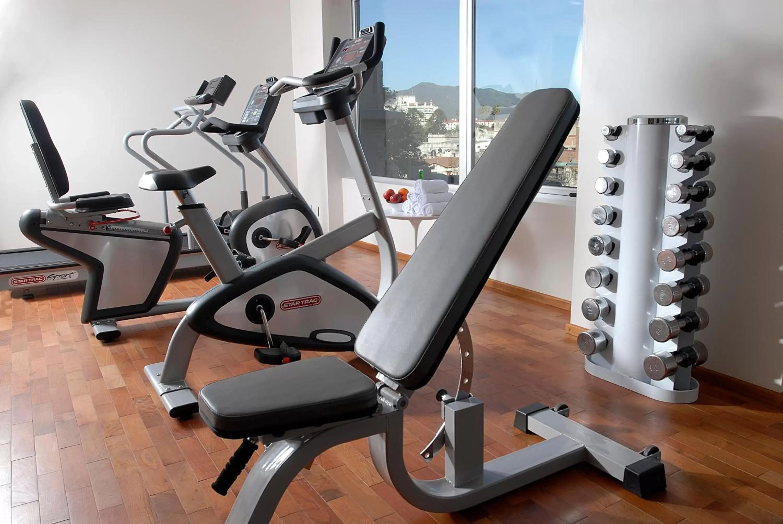Fitness centre/facilities, Fitness Center/Facilities in Design Suites Salta