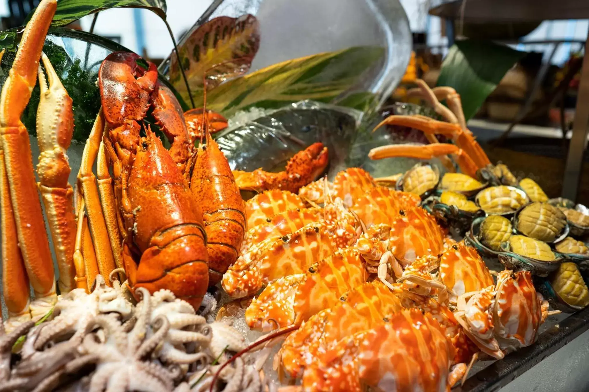 Restaurant/places to eat in Crowne Plaza Shenzhen Nanshan by IHG Restaurant/places to eat in Crowne Plaza Shenzhen Nanshan by IHG