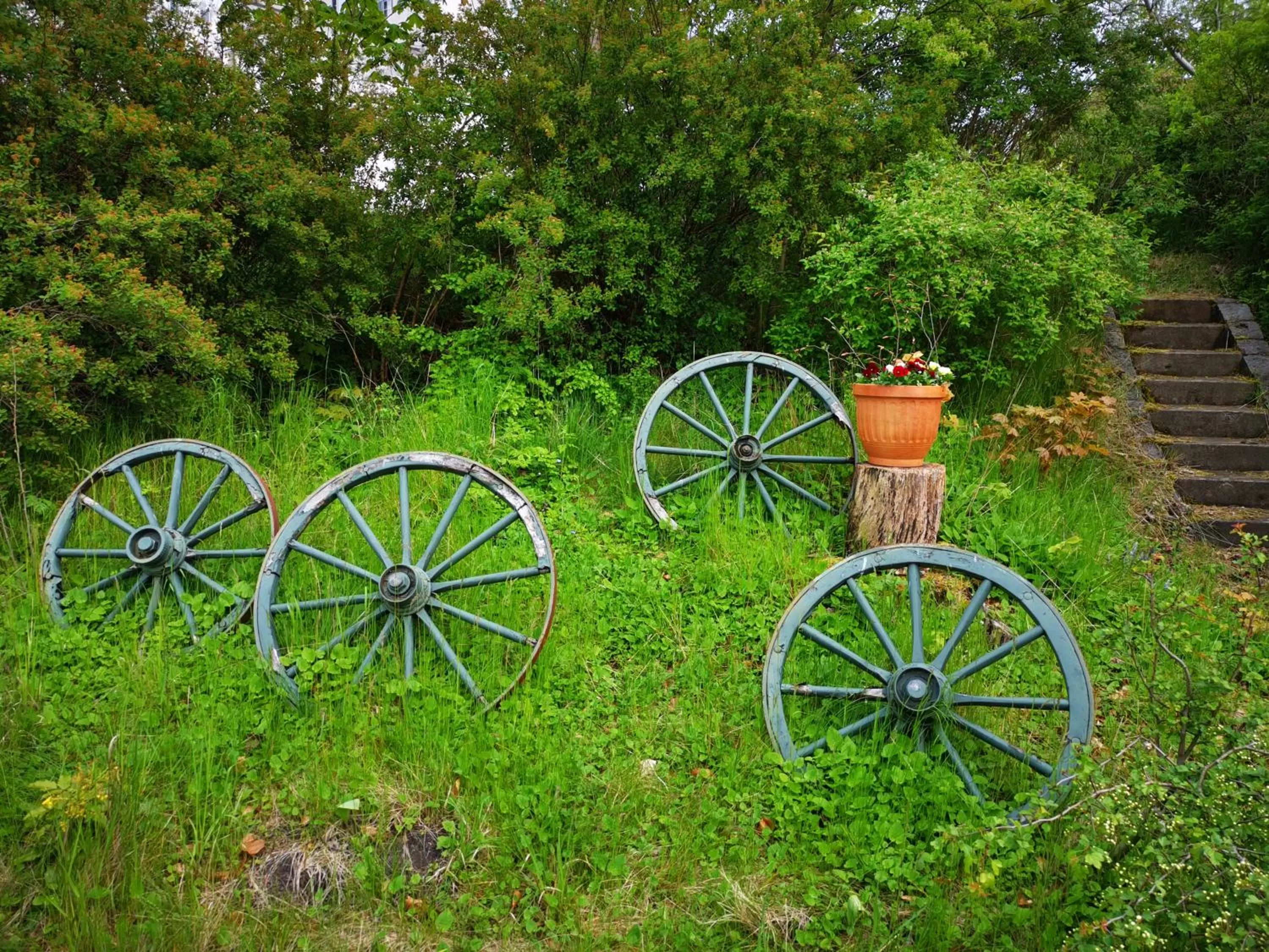 Garden in Åhus B&B och Vandrarhem