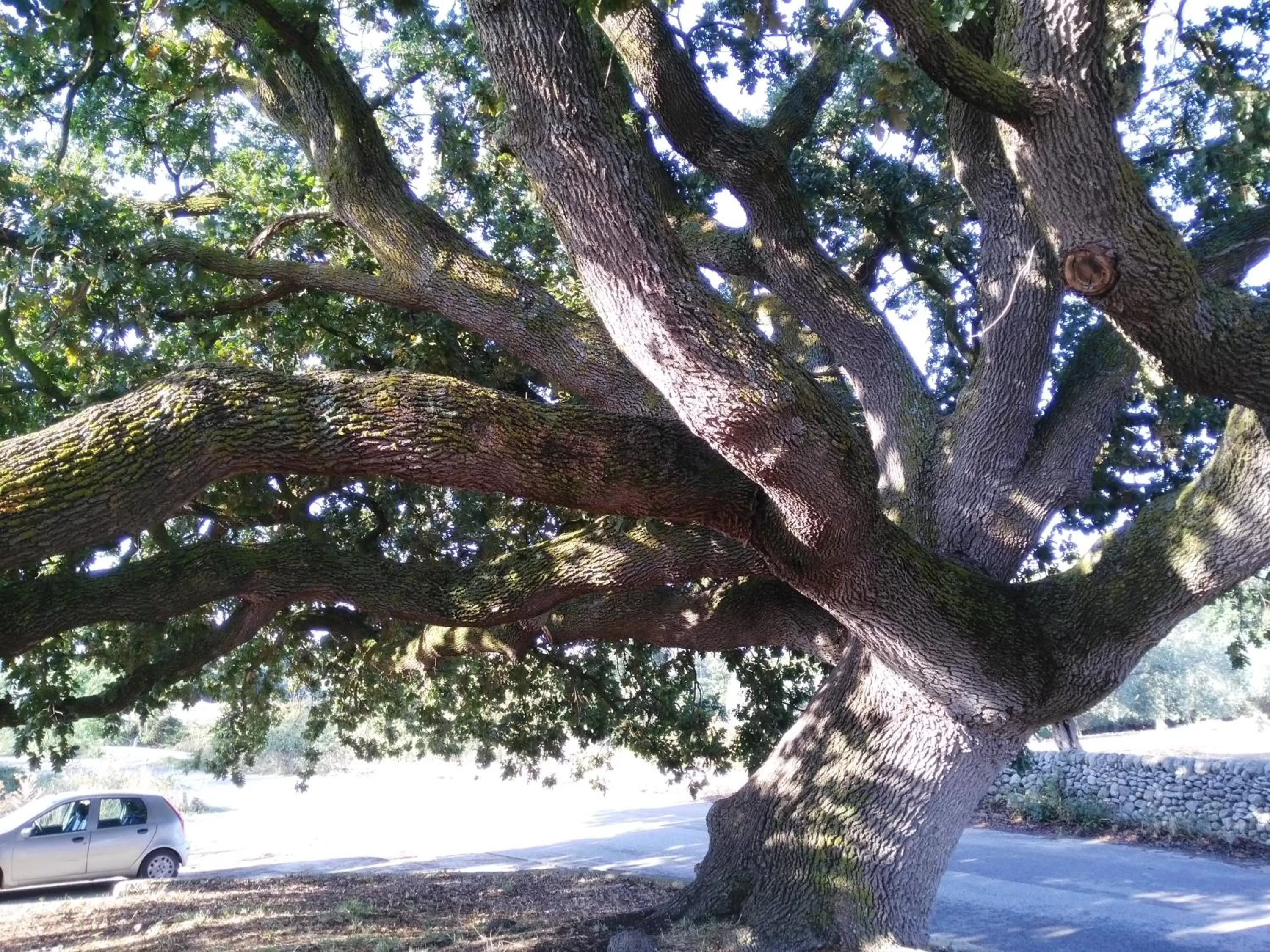 Nearby landmark, Winter in Ronnavona Casa Vacanze B&B