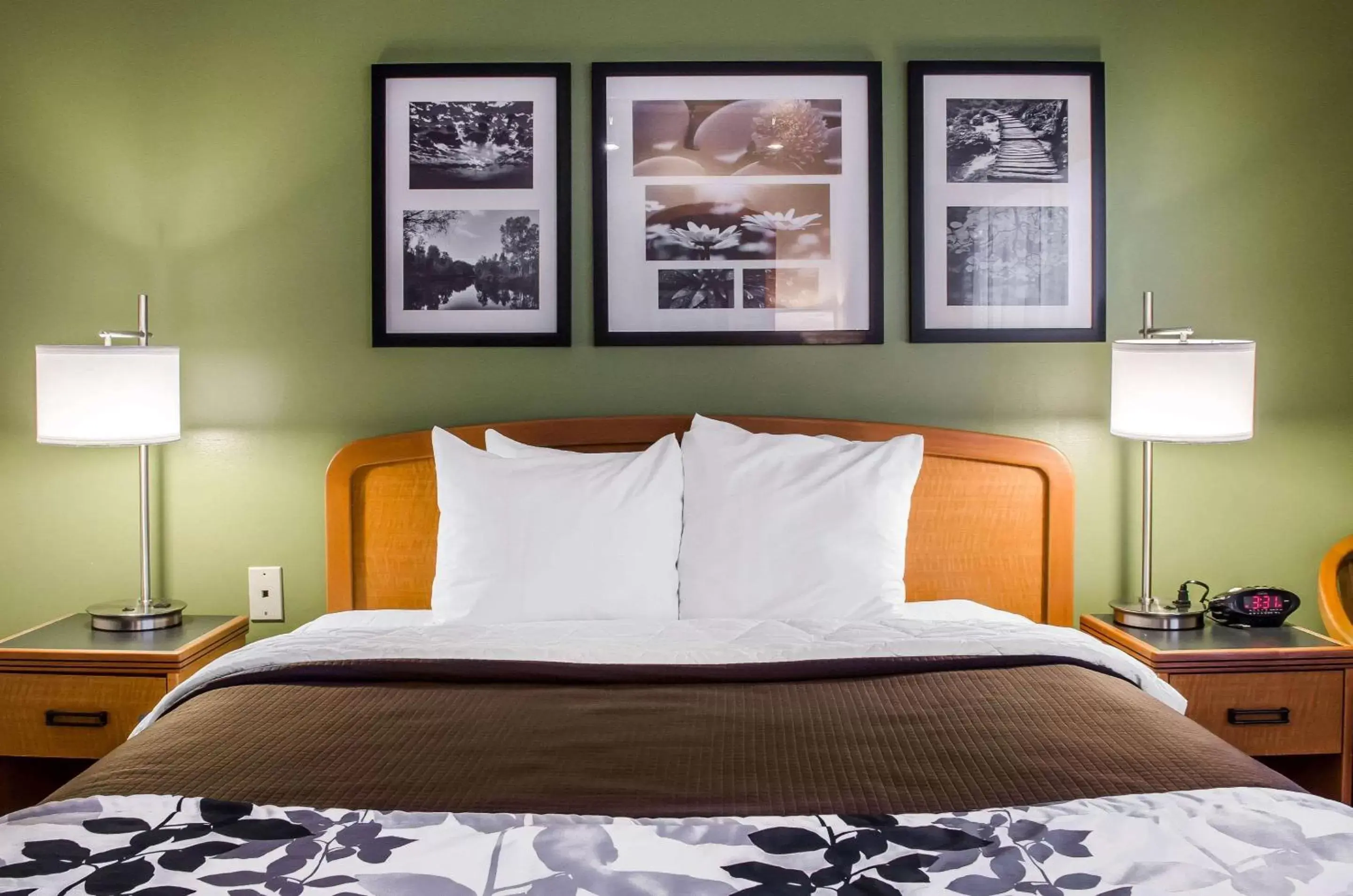 Photo of the whole room, Bed in Sleep Inn & Suites Bensalem Photo of the whole room, Bed in Sleep Inn & Suites Bensalem