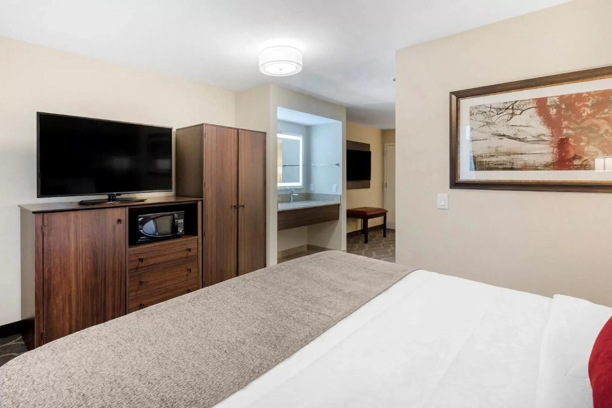 TV and multimedia, Bed in Country Inn & Suites by Radisson, Grandville-Grand Rapids West, MI