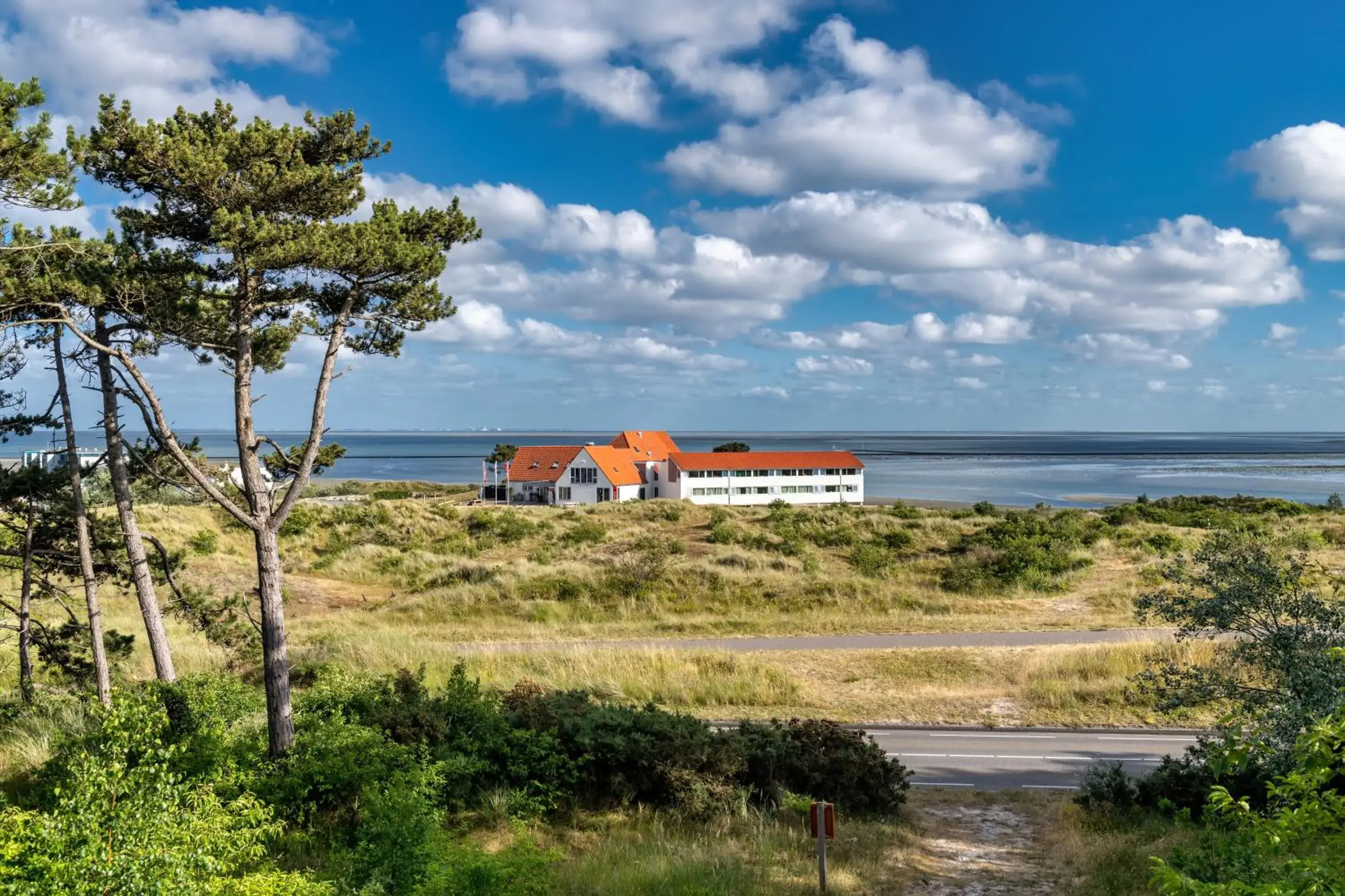 Natural landscape in Stayokay Terschelling