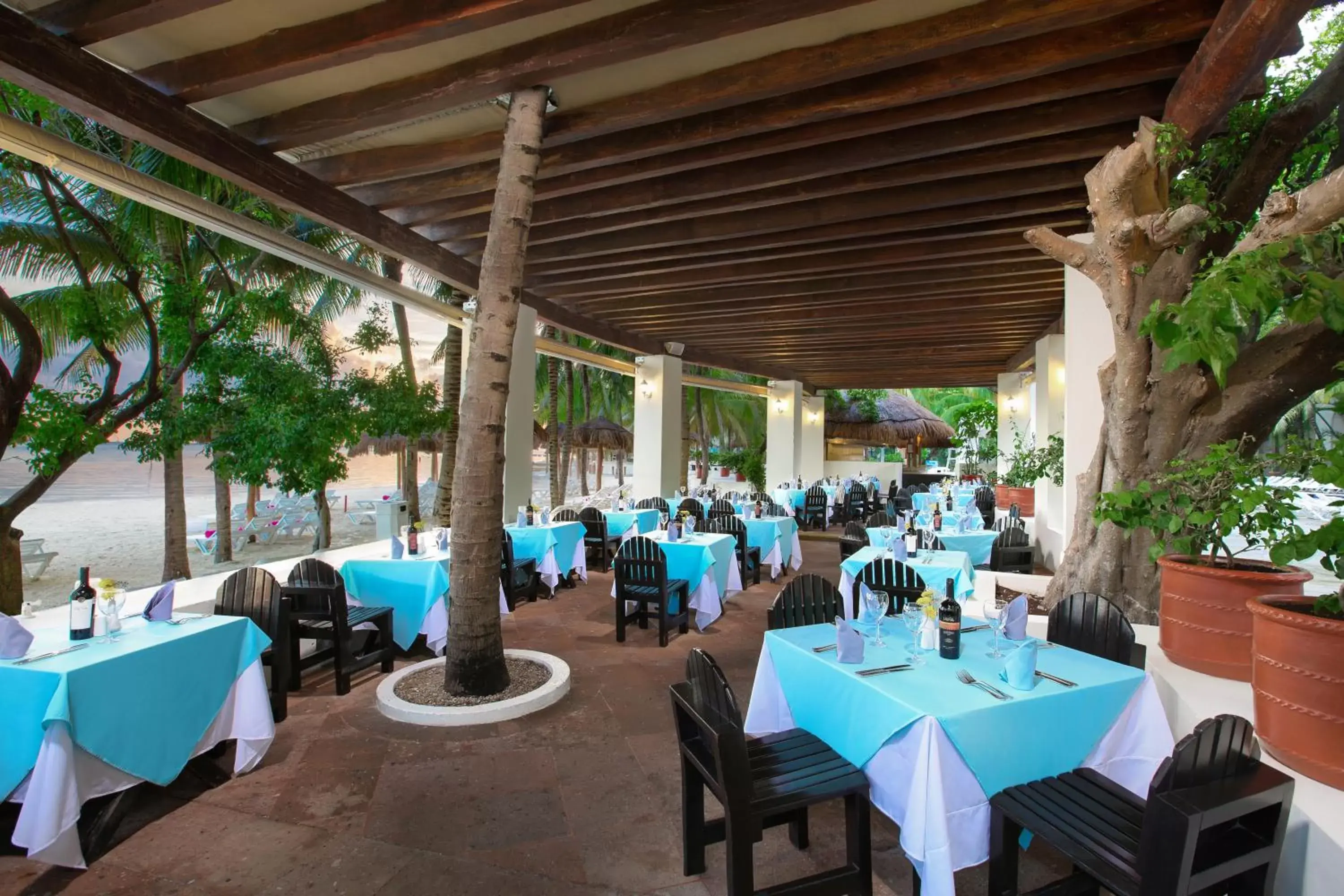 Restaurant/Places to Eat in Grand Oasis Palm - All inclusive