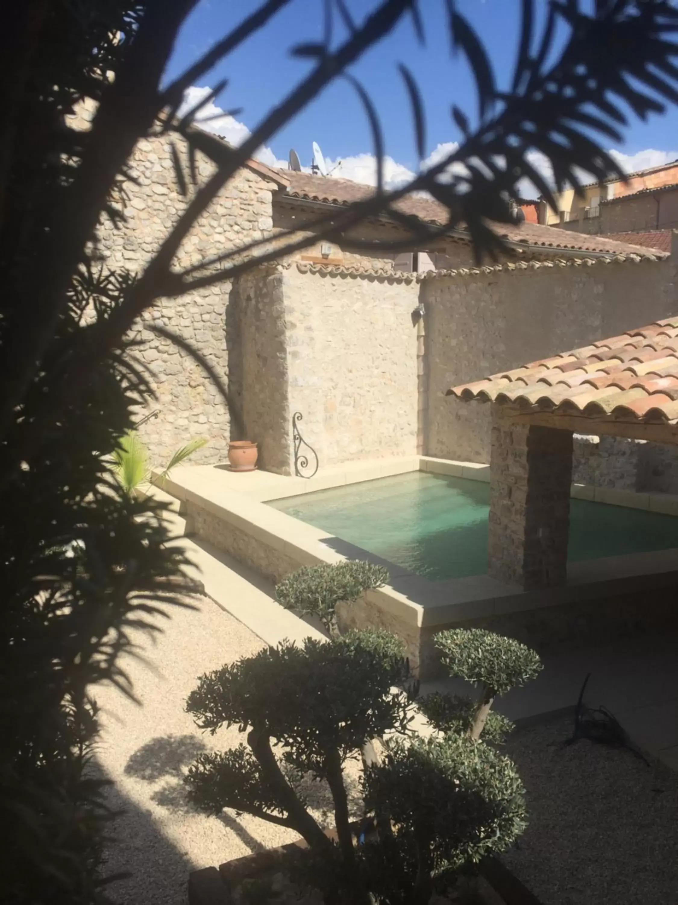 Garden, Swimming Pool in Ancienne Cure