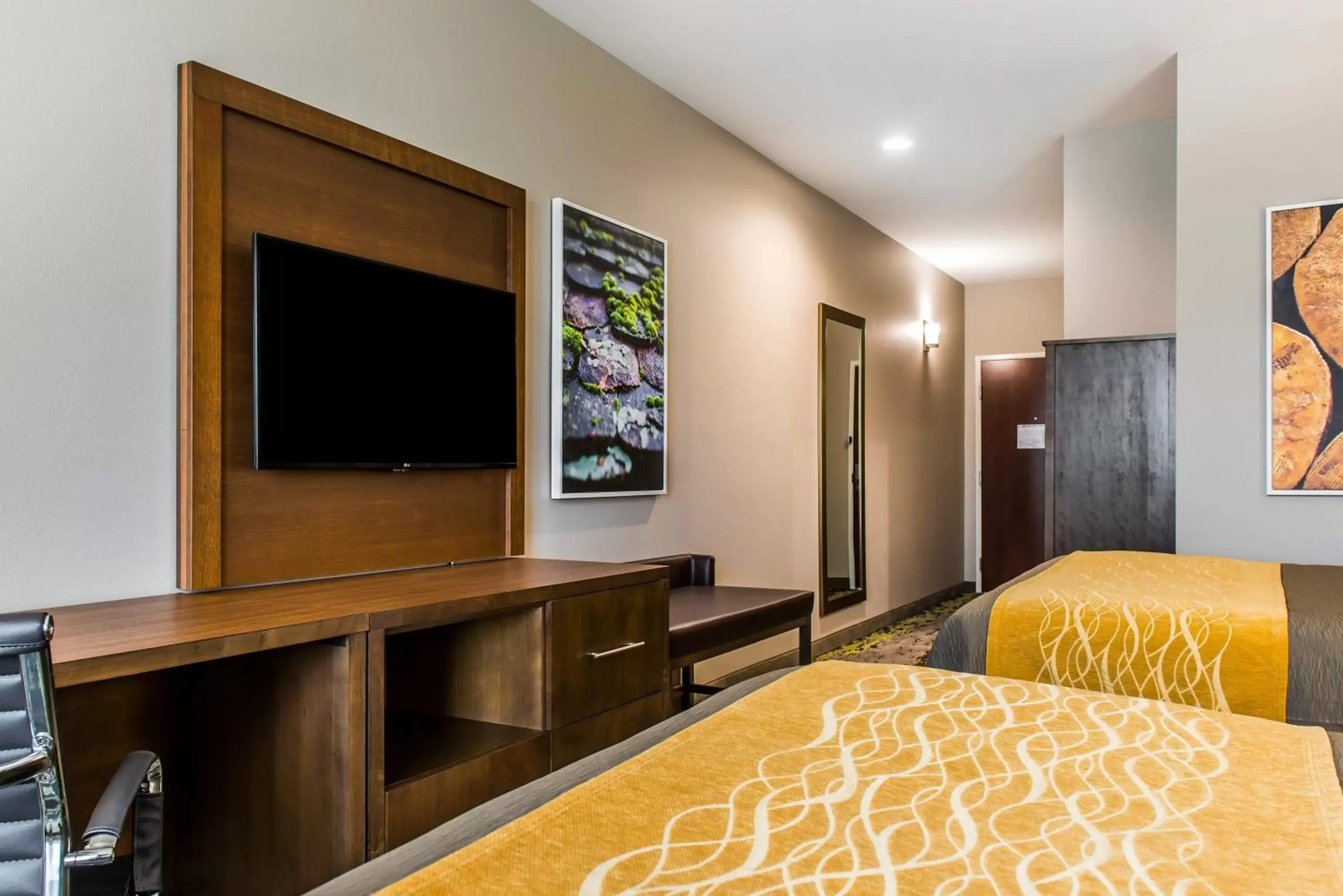 TV and multimedia, TV/Entertainment Center in Comfort Inn & Suites Valdosta