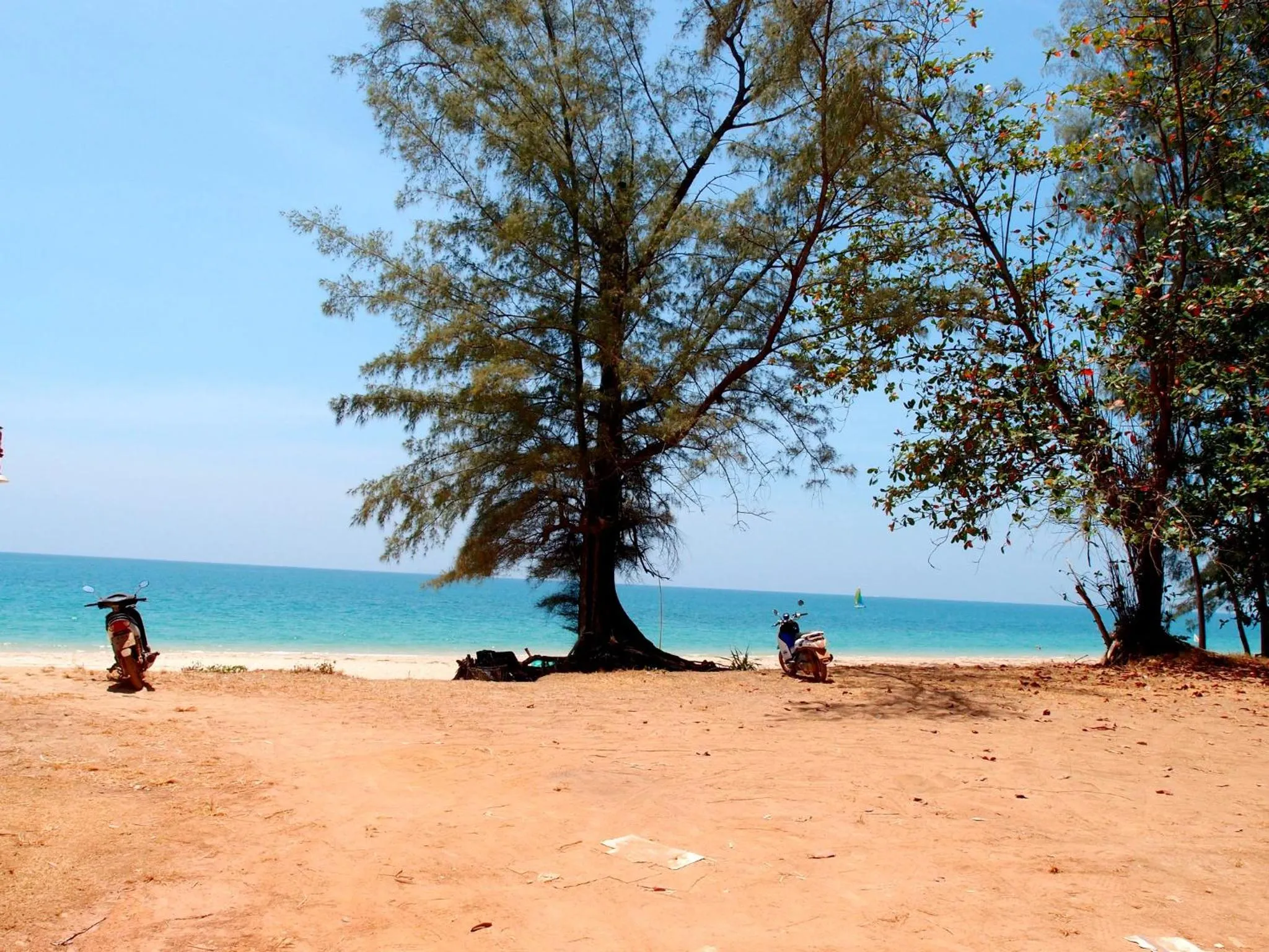 Natural landscape in Raven Blue