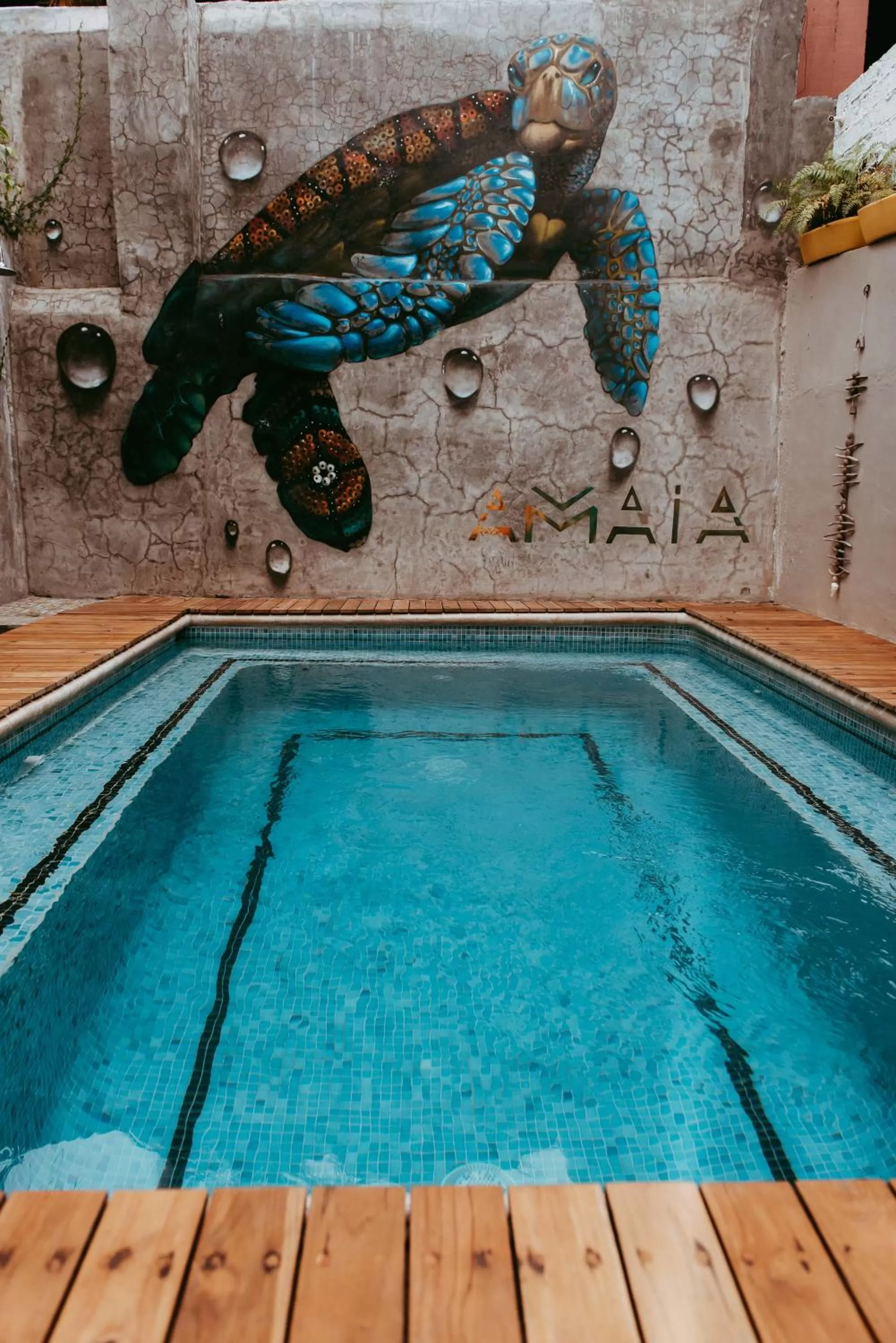 Swimming pool in Amaia Boutique Hotel