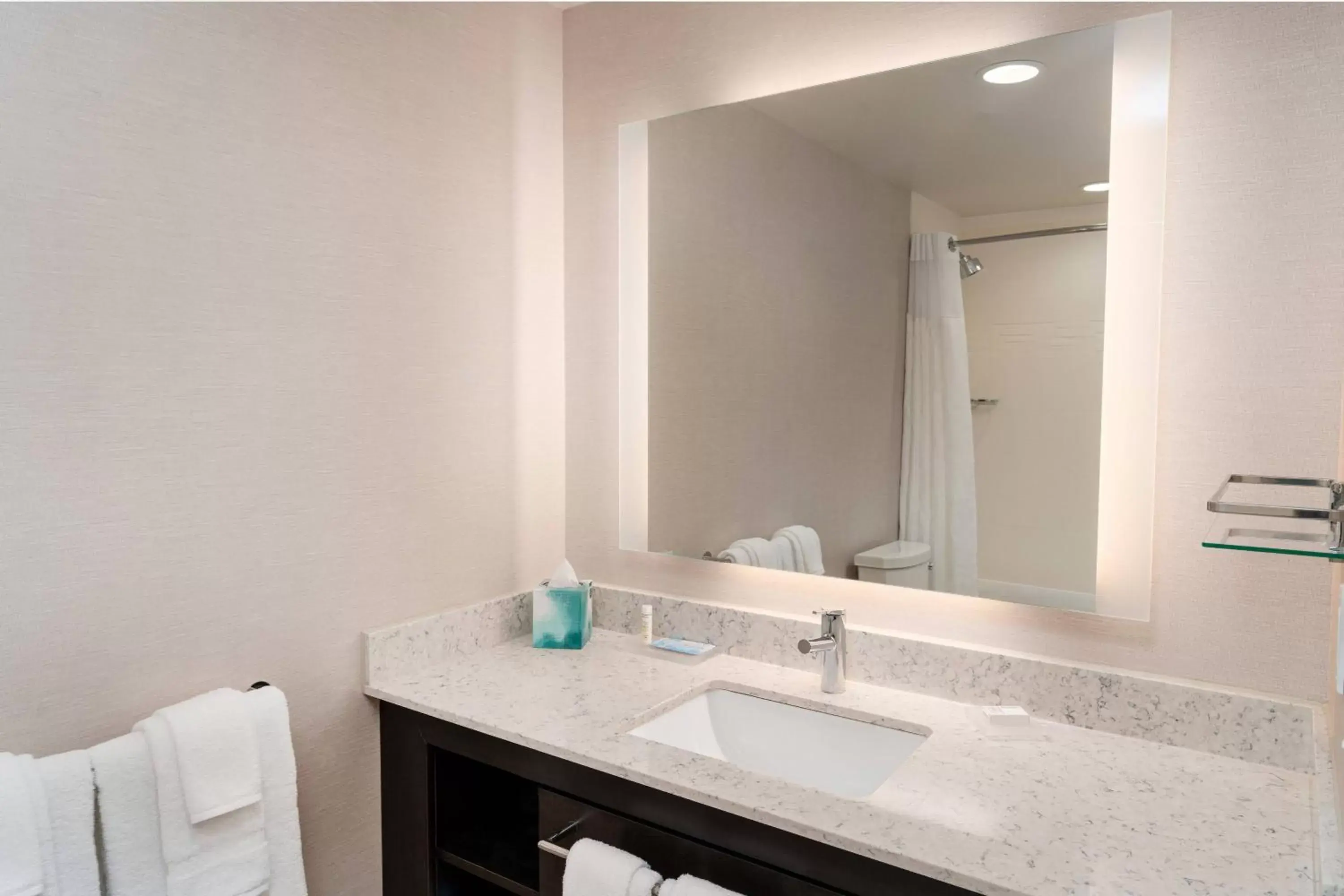 Bathroom in Residence Inn by Marriott Grand Rapids Downtown