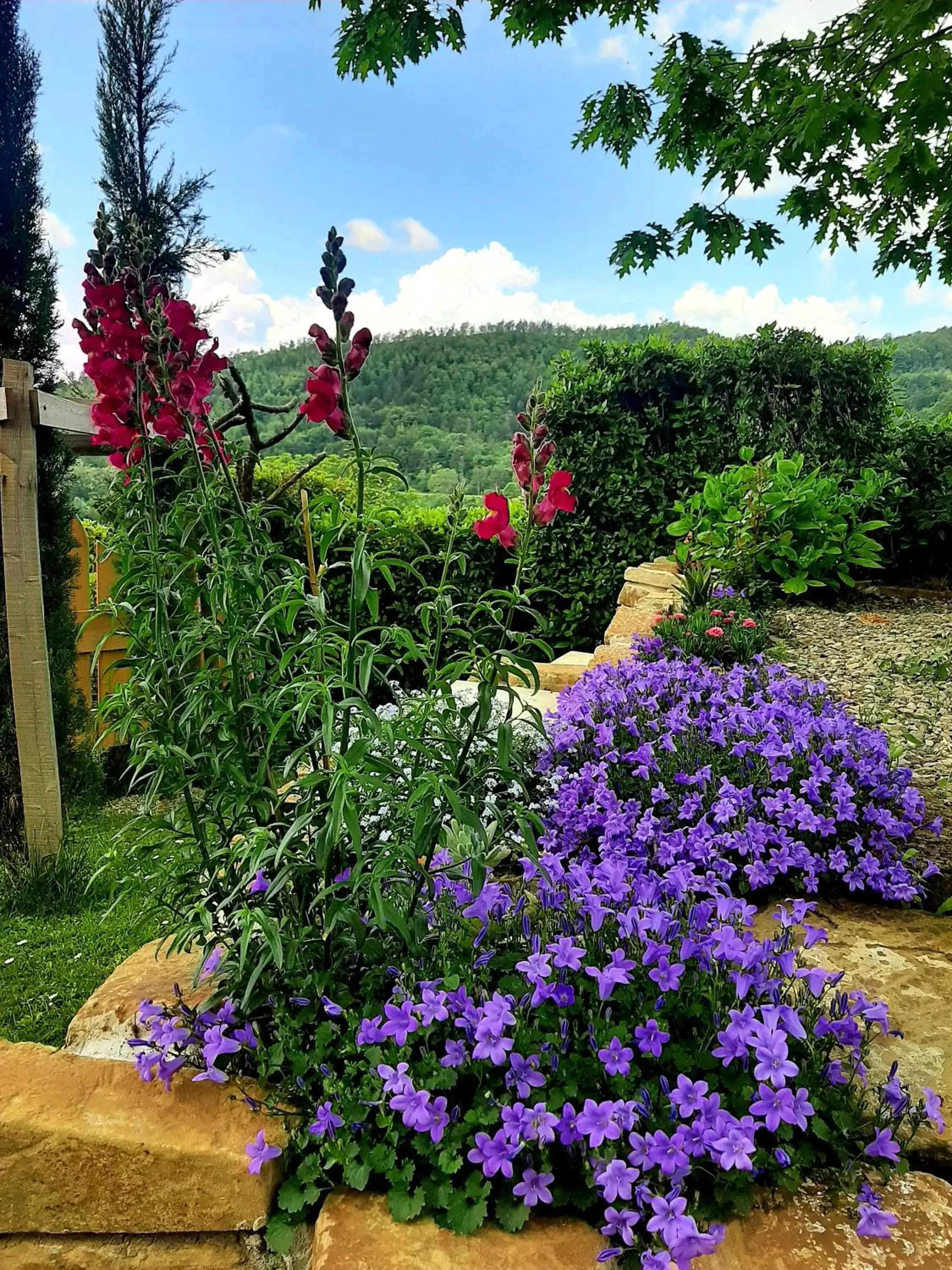 Garden in B&B degli Allori