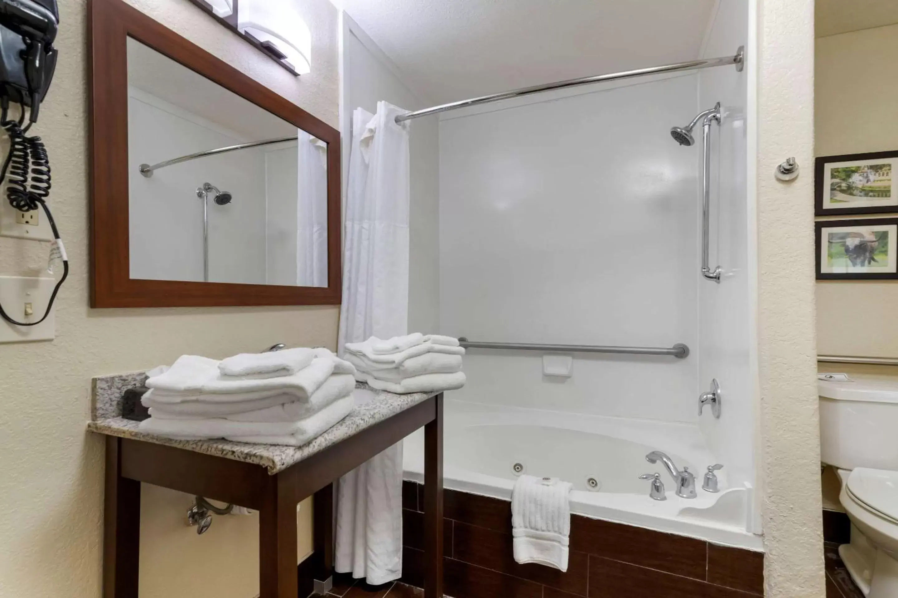 Bathroom in Comfort Inn & Suites Near Six Flags & Medical Center