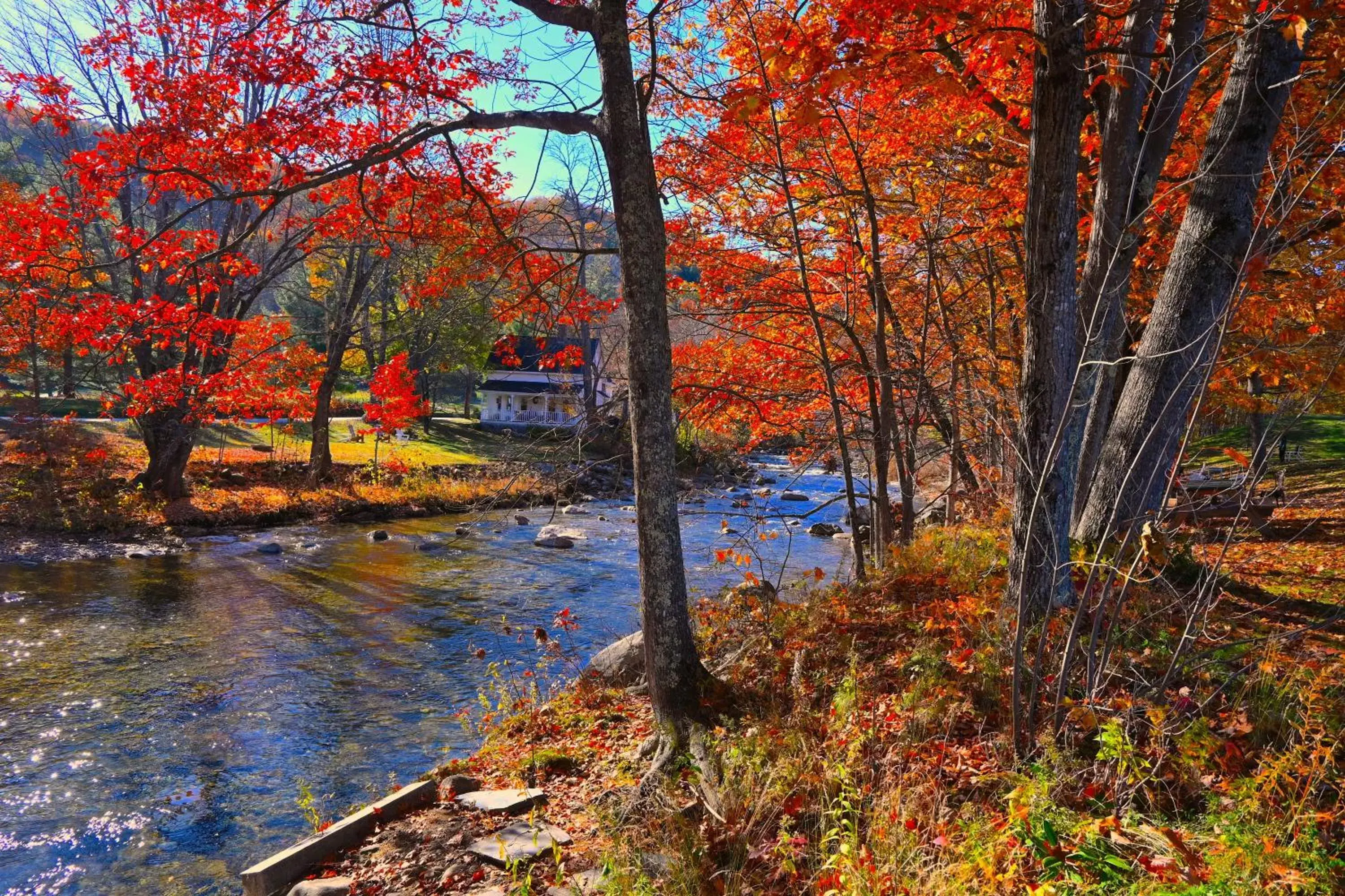 River view in The Lodge at Jackson Village