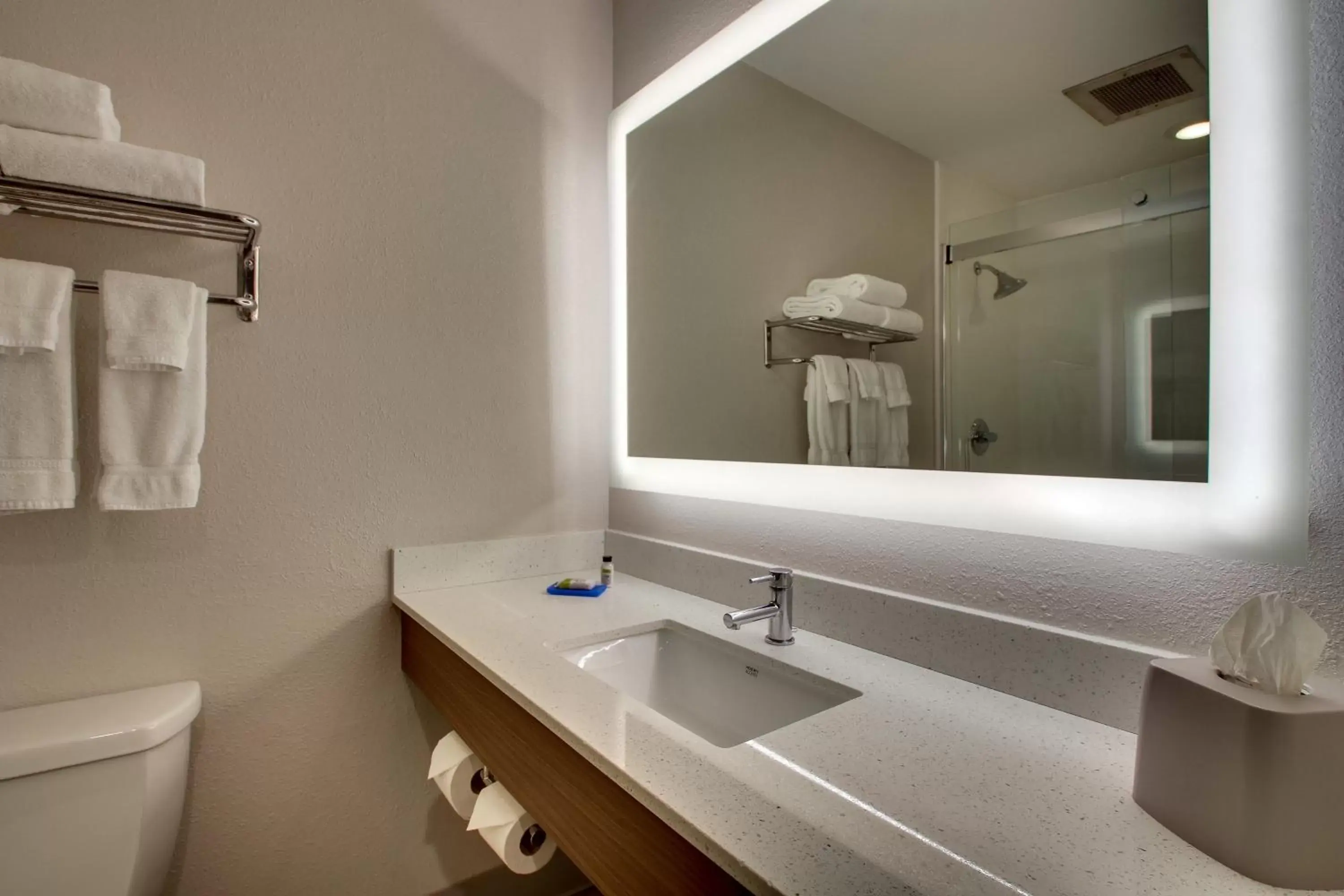 Bathroom in Holiday Inn Express Georgetown, an IHG Hotel