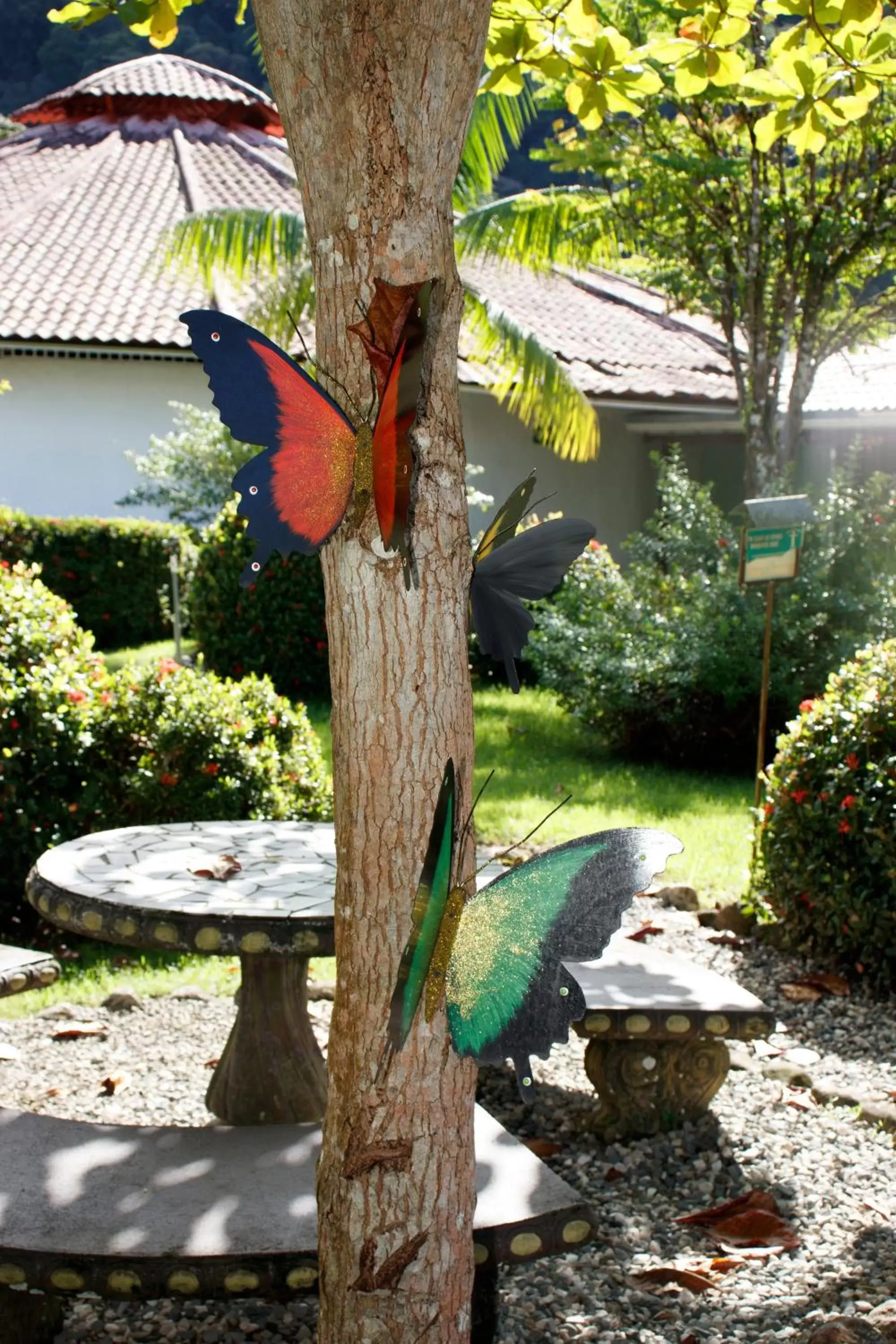 Garden view, Garden in Hotel Samoa del Sur