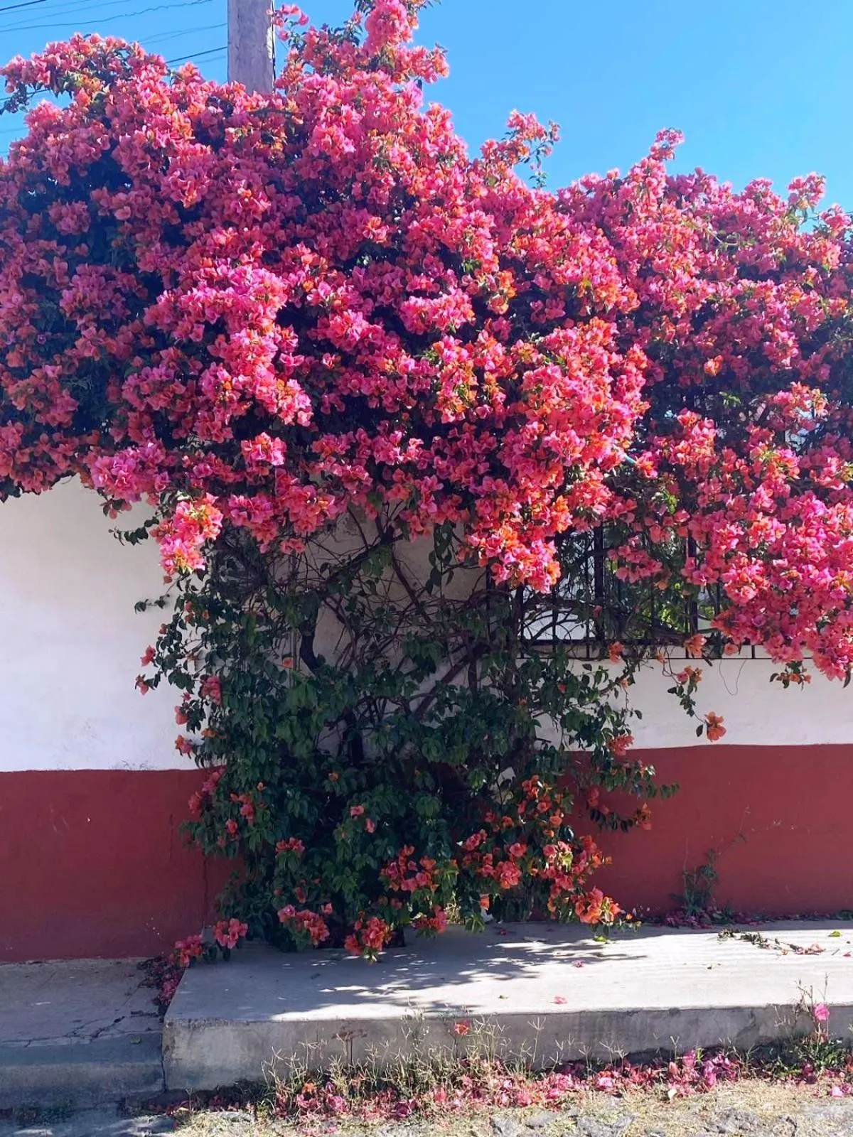 Facade/entrance in Hotel Posada Camelinas