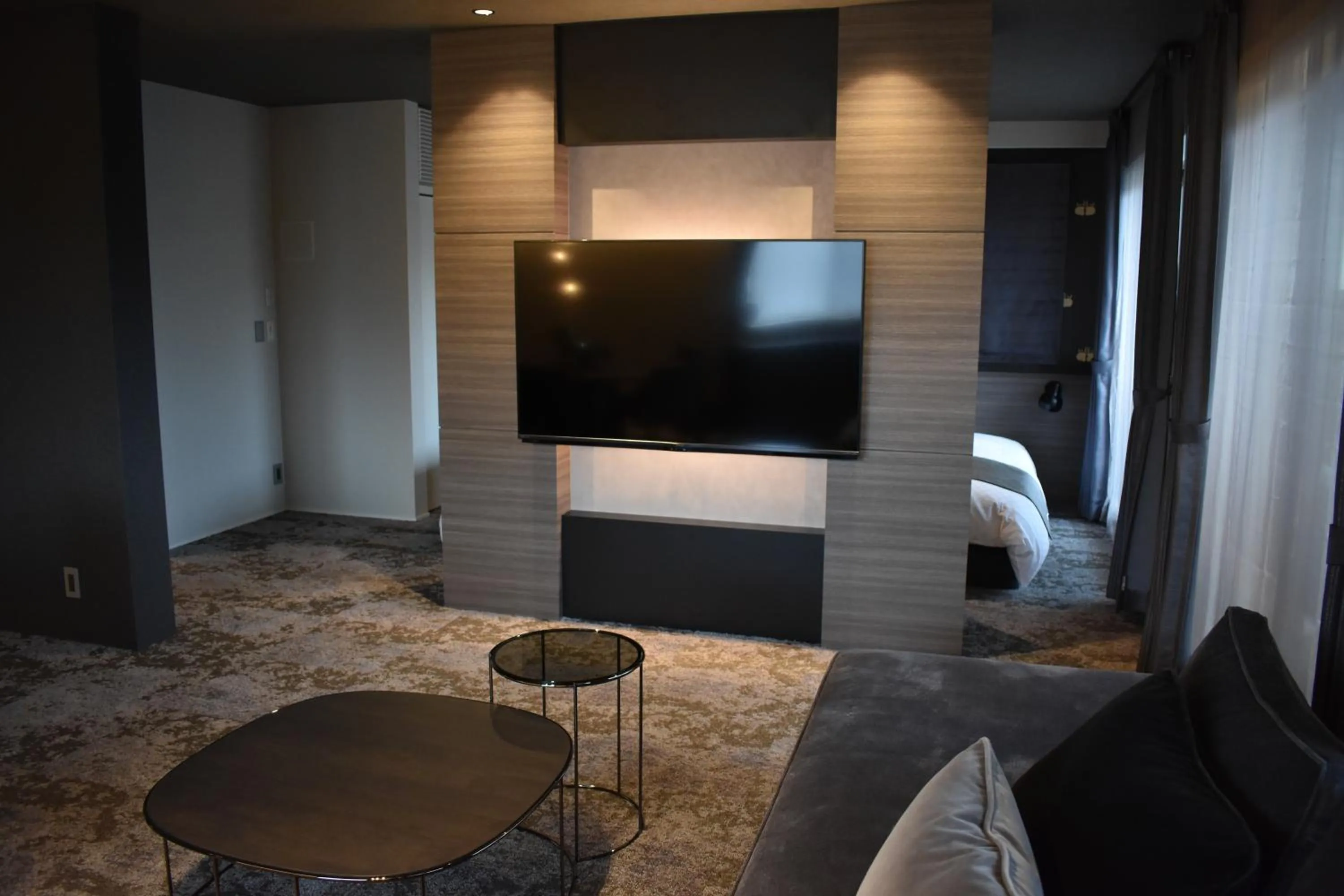 TV and multimedia in HOTEL MASTAY jingumichi