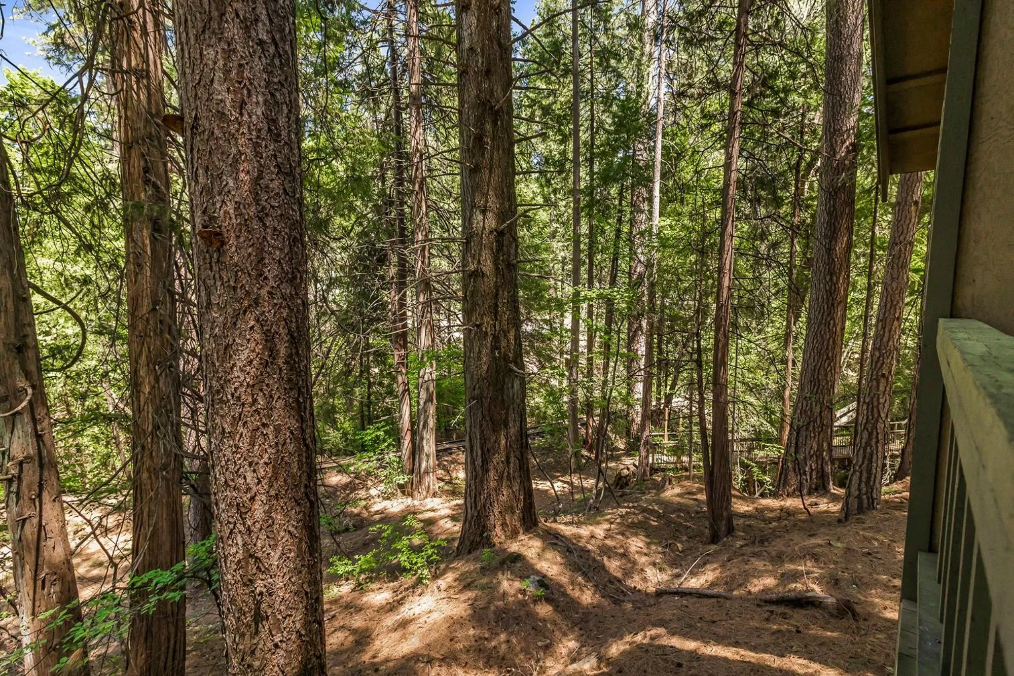 Natural landscape in Northern Queen Inn