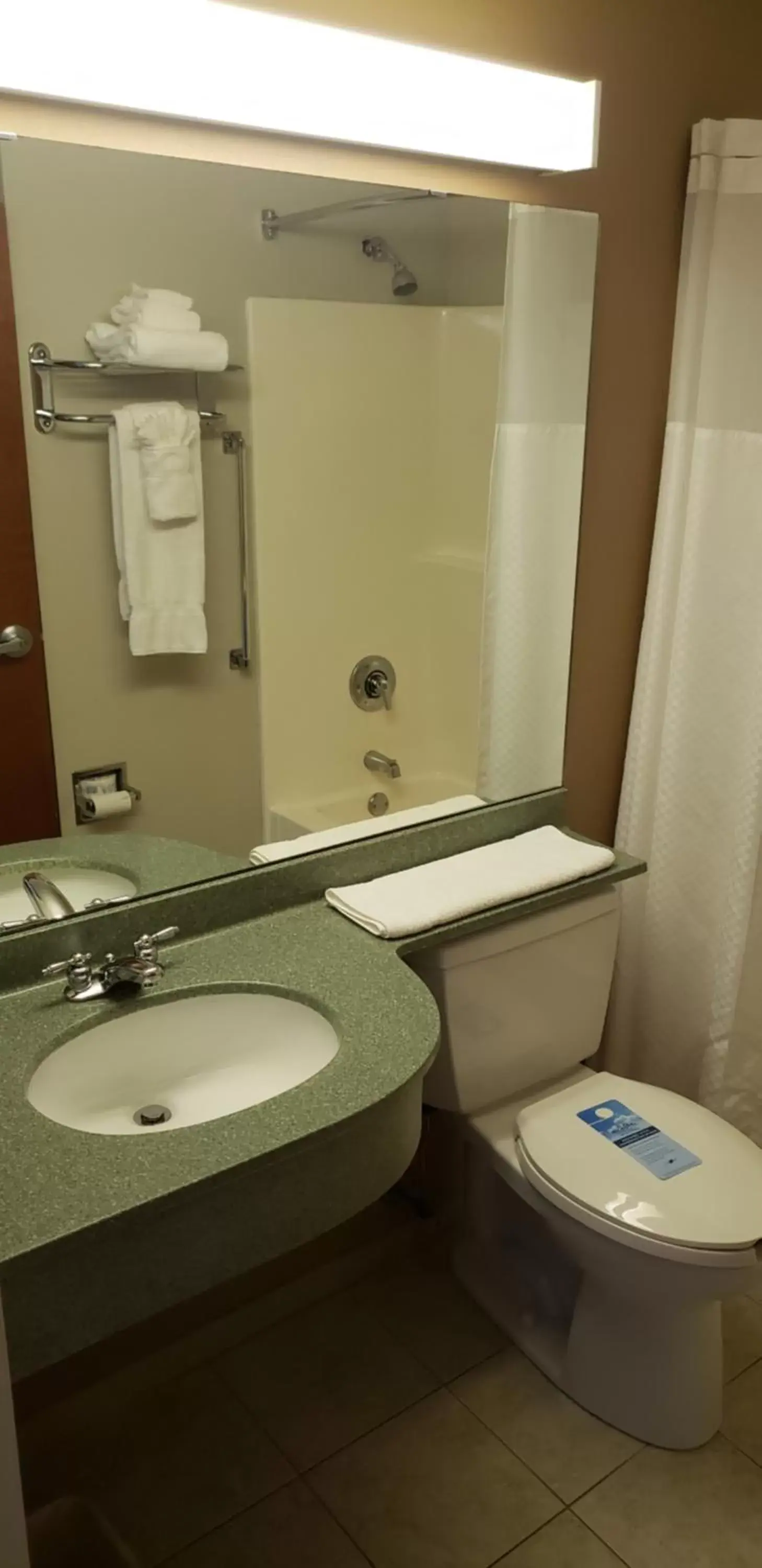 Bathroom in York Microtel Inn & Suites by Wyndham