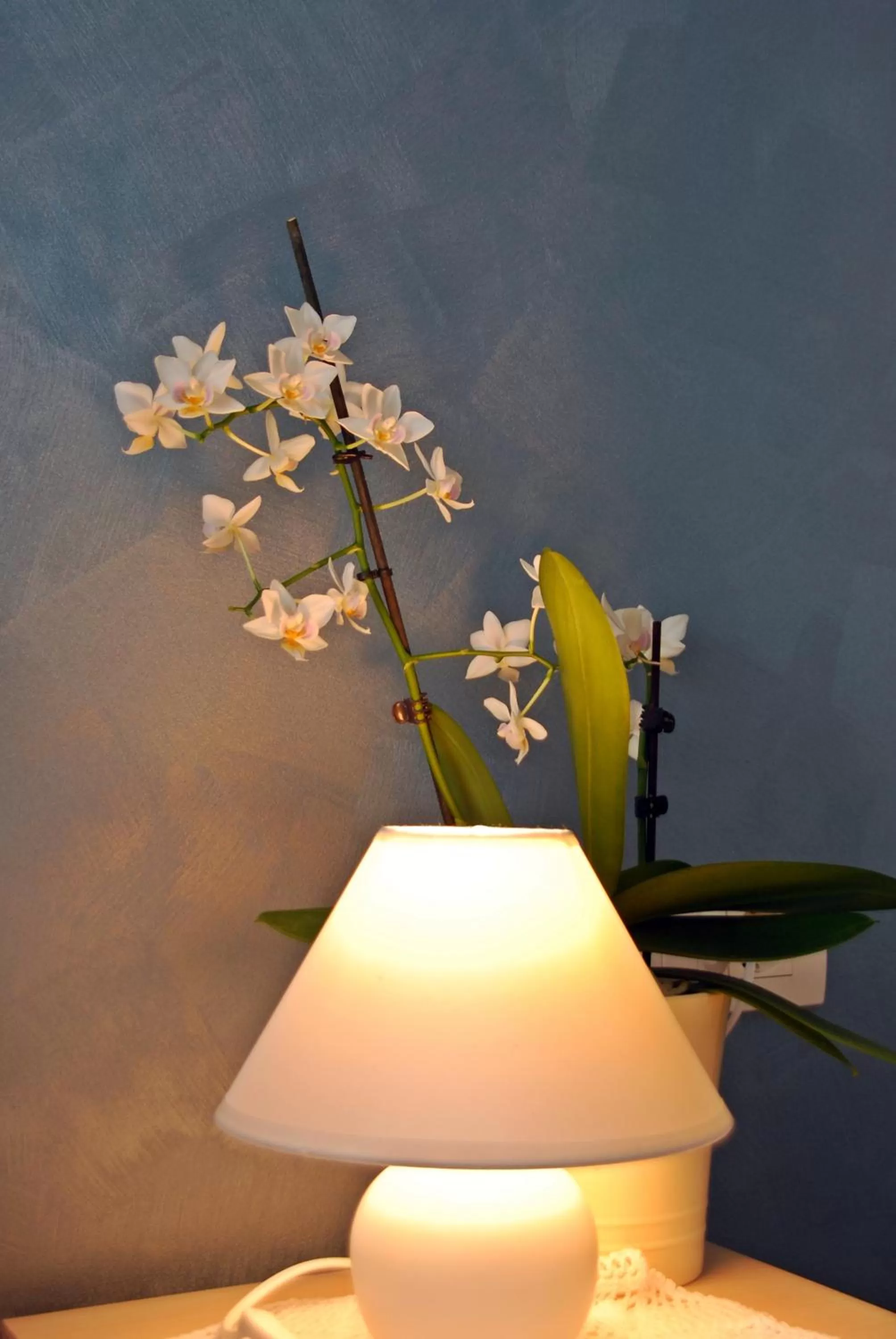 Decorative detail in Rooms Edda