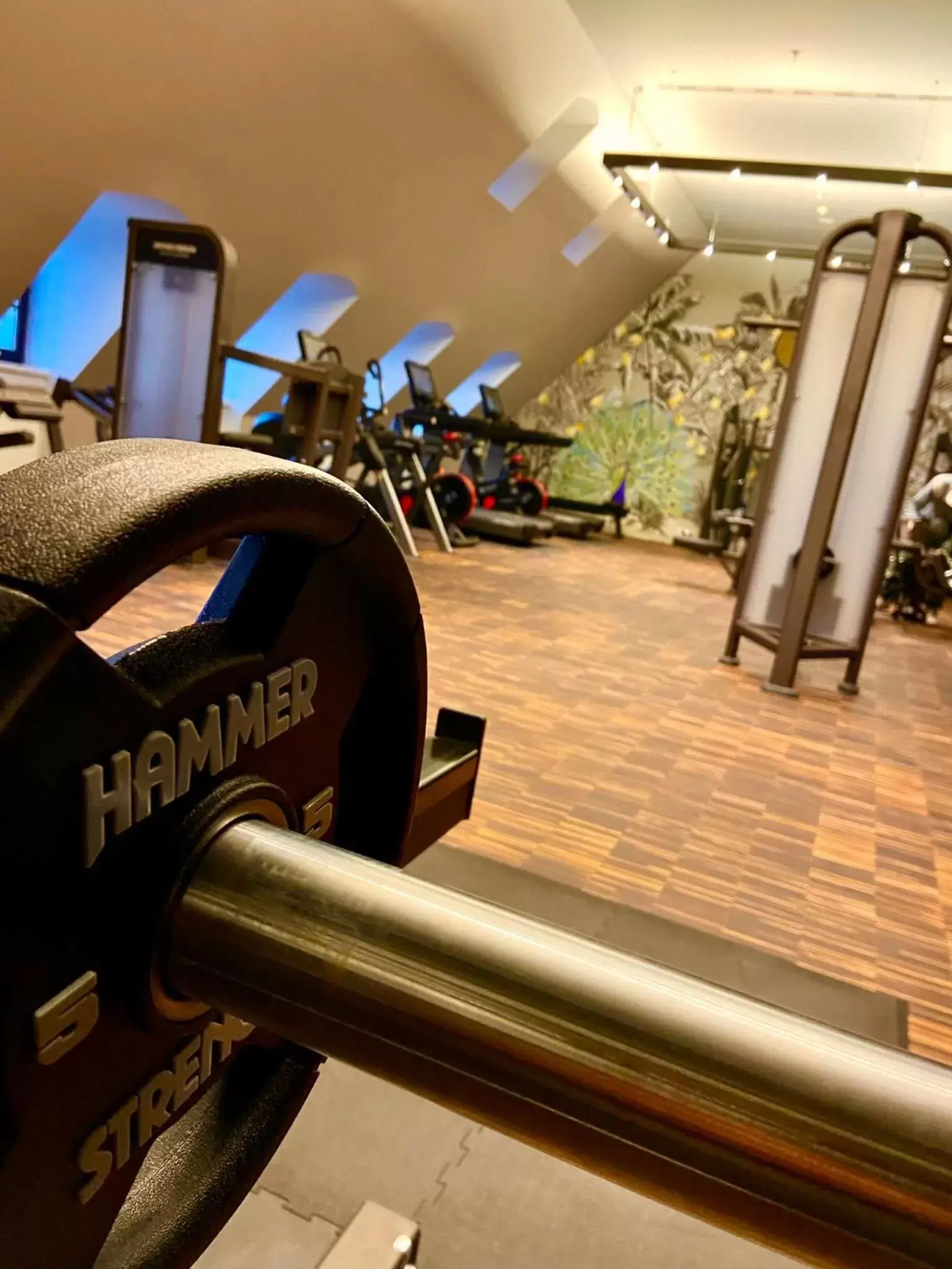 Fitness centre/facilities, Fitness Center/Facilities in Townhouse Dresden