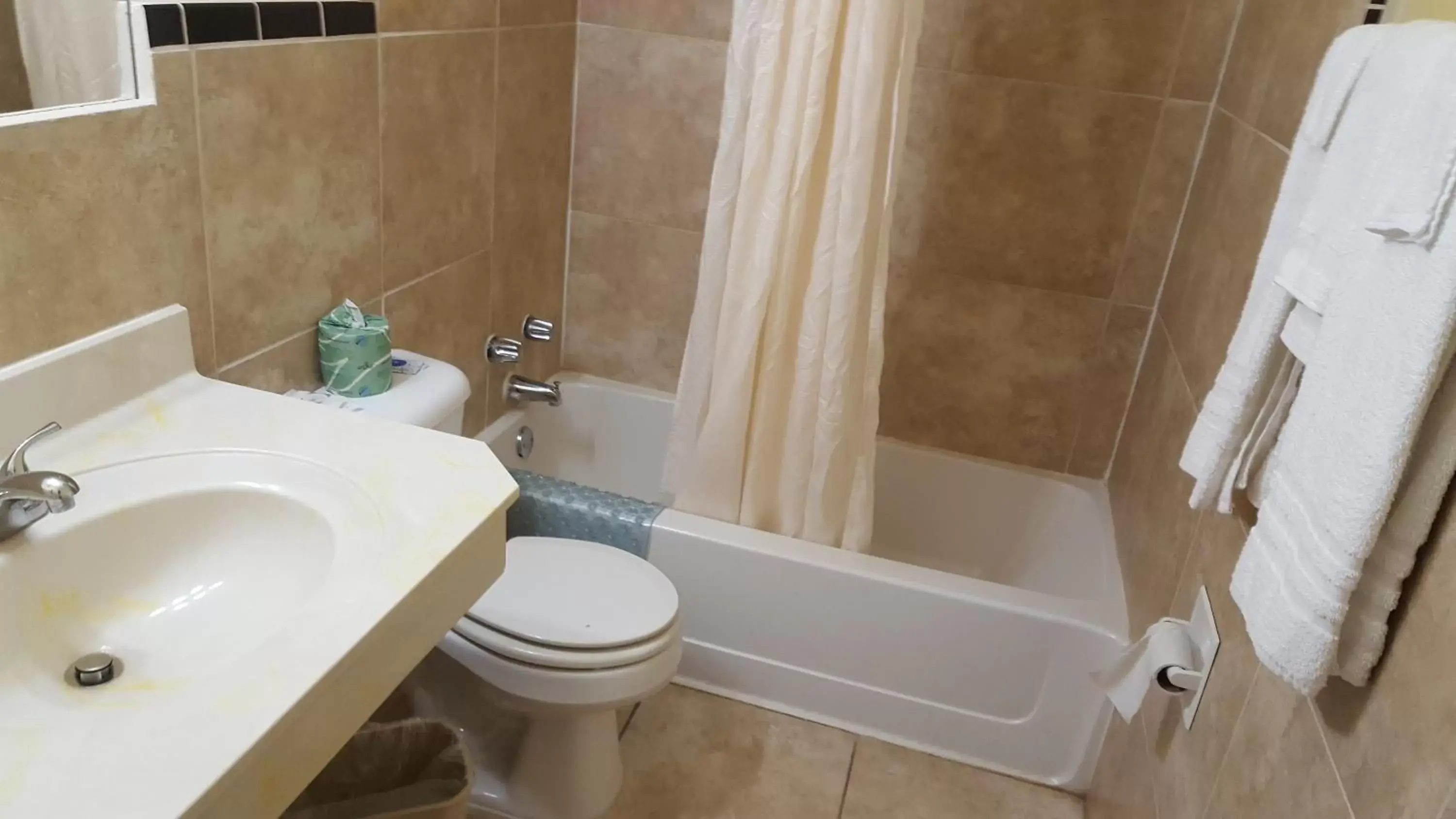 Shower, Bathroom in Sands Motel