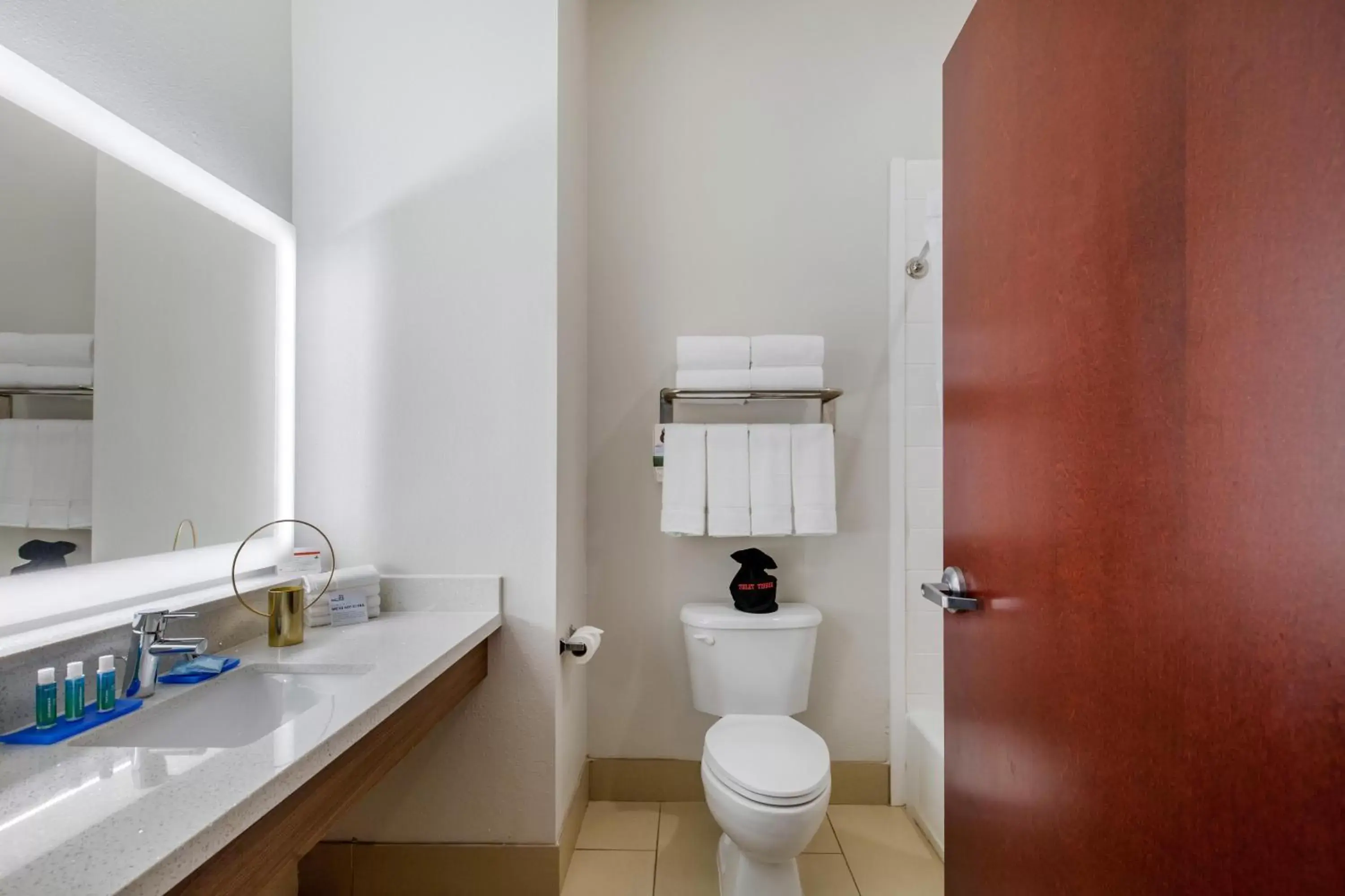 Photo of the whole room, Bathroom in Holiday Inn Express Houston-Alvin, an IHG Hotel