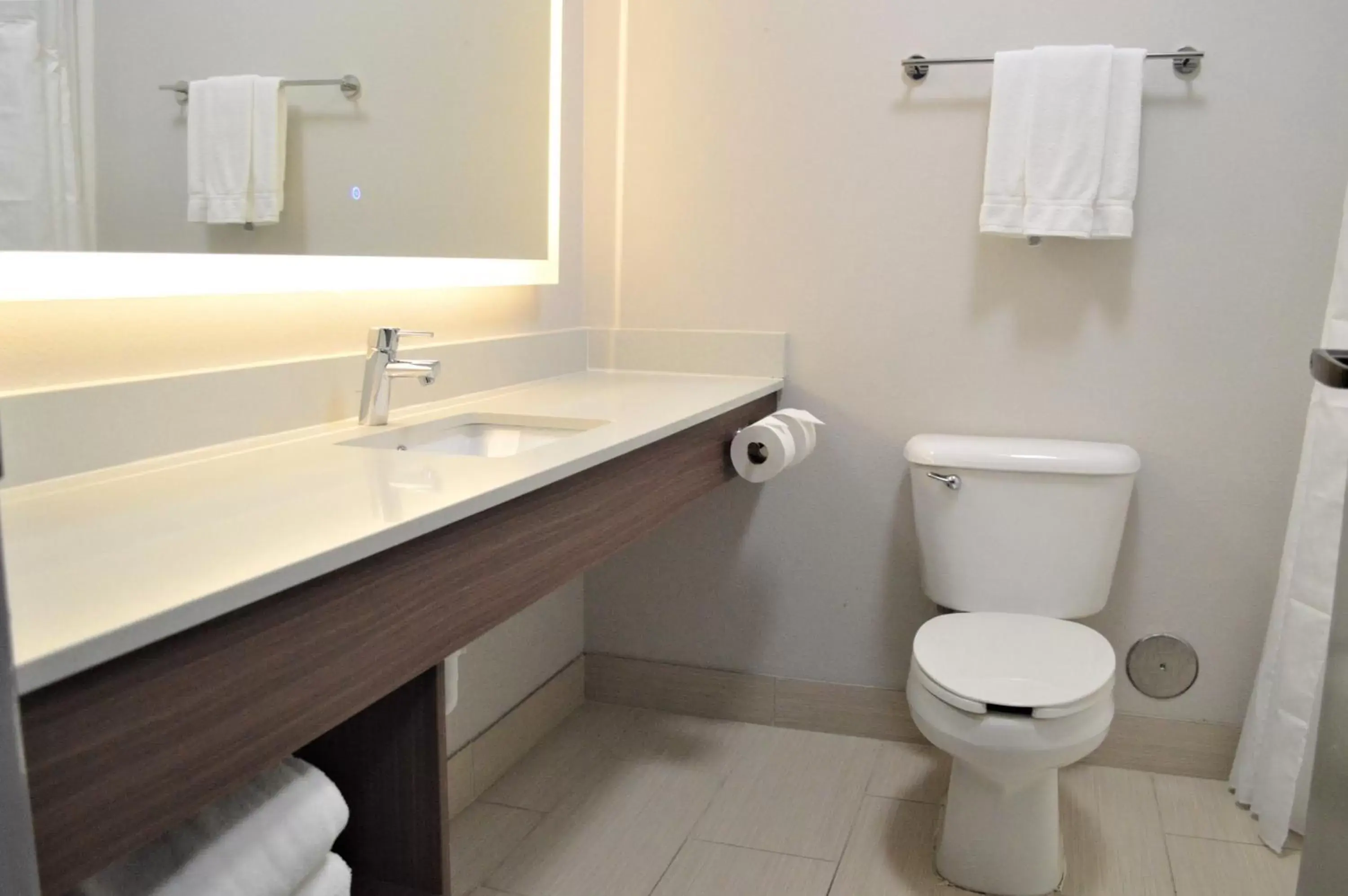 Bathroom in Holiday Inn Express & Suites Batesville, an IHG Hotel