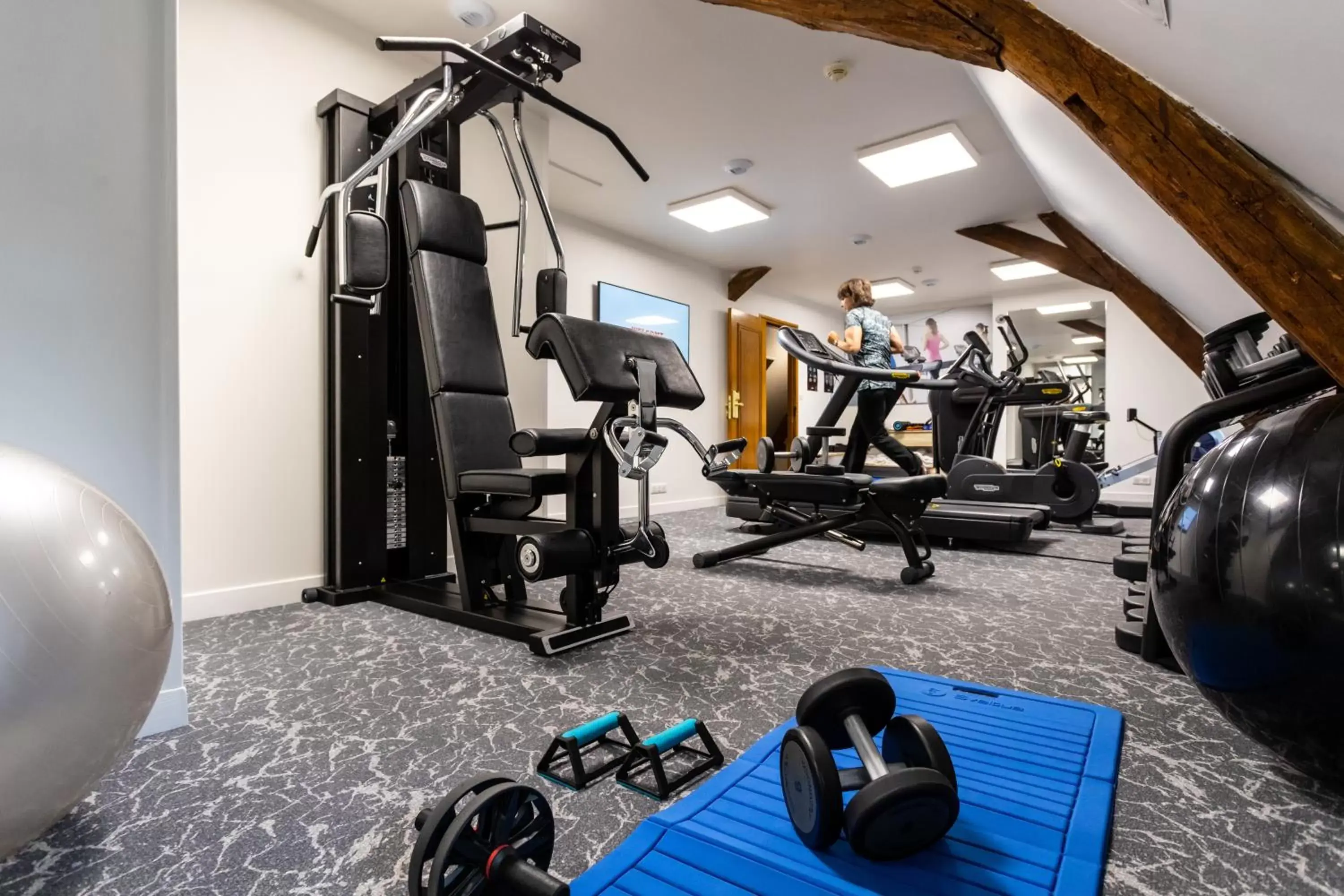Fitness centre/facilities, Fitness Center/Facilities in Hotel De Bourbon Grand Hotel Mercure Bourges