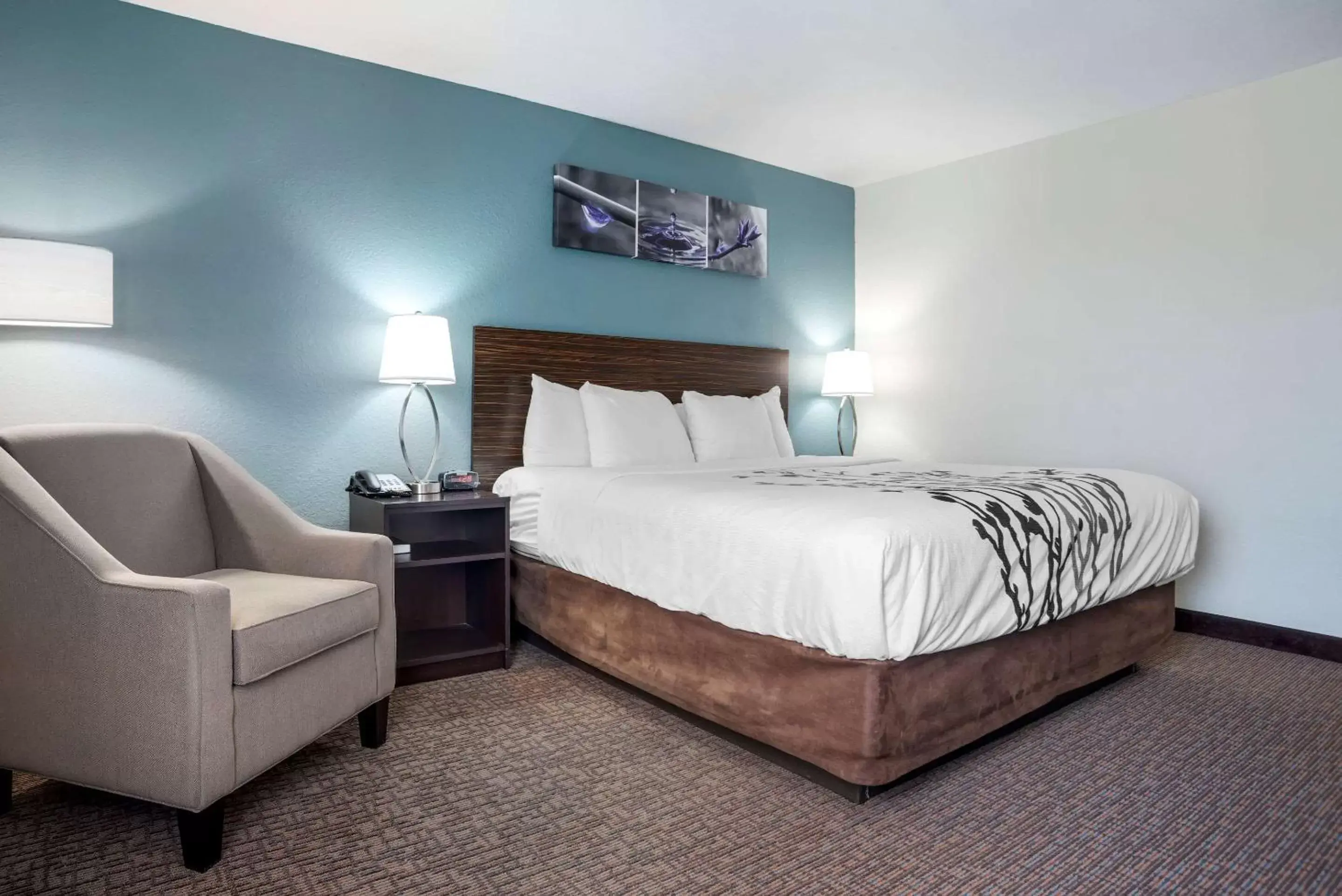 Bedroom, Bed in Sleep Inn & Suites Auburn Campus Area I-85
