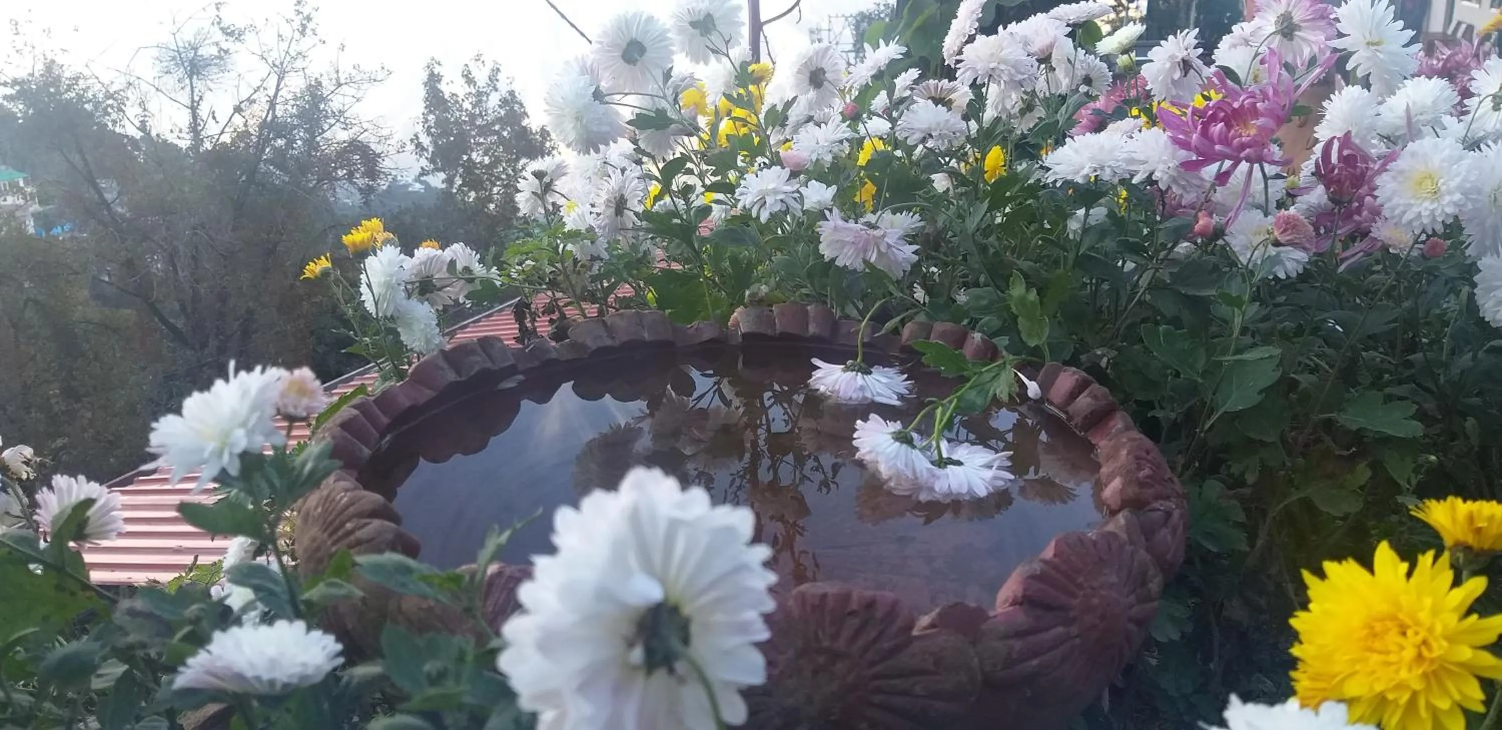 Property building in Hotel SunGrace