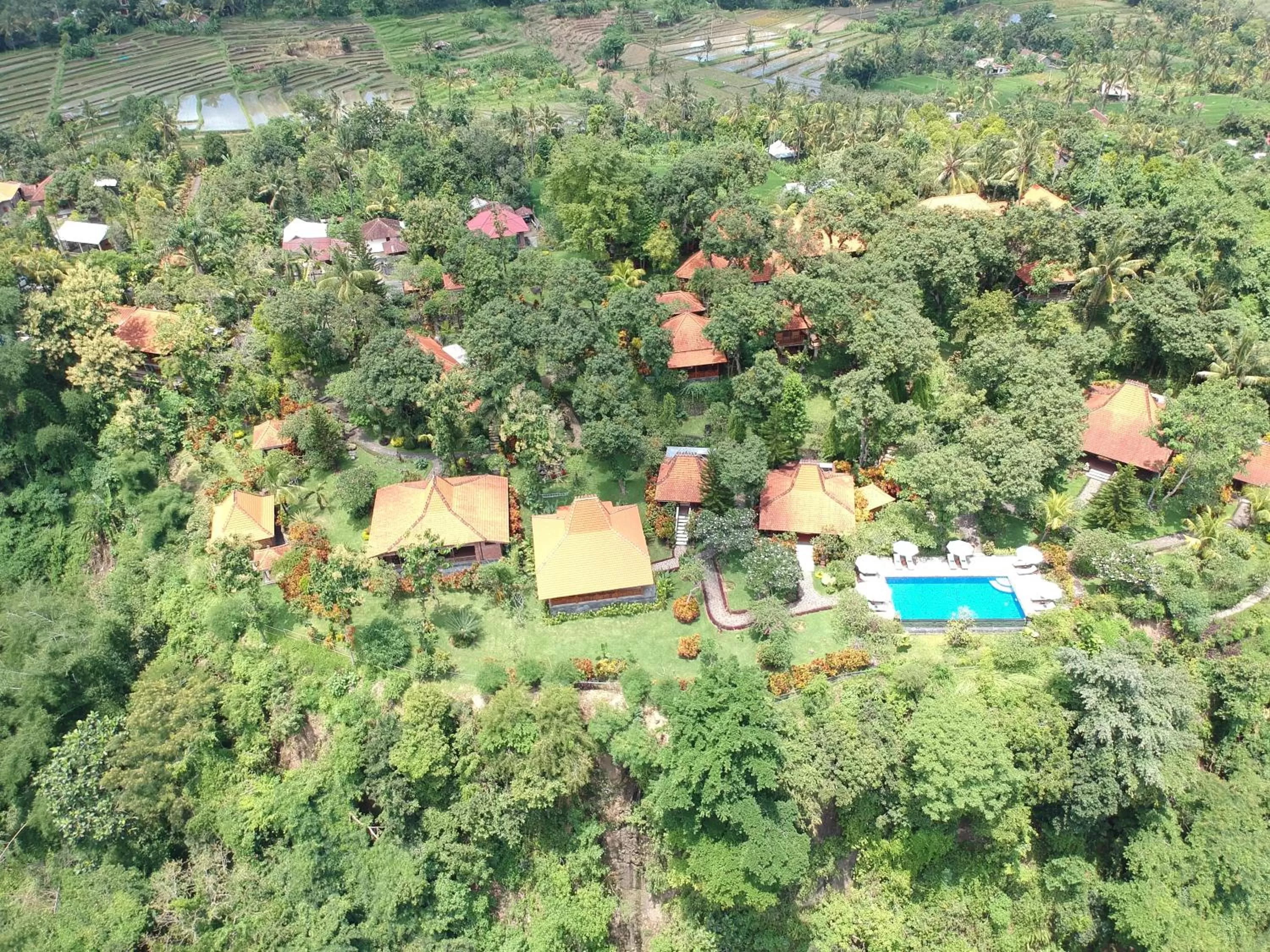 Bird's eye view in Shanti Natural Panorama View Hotel