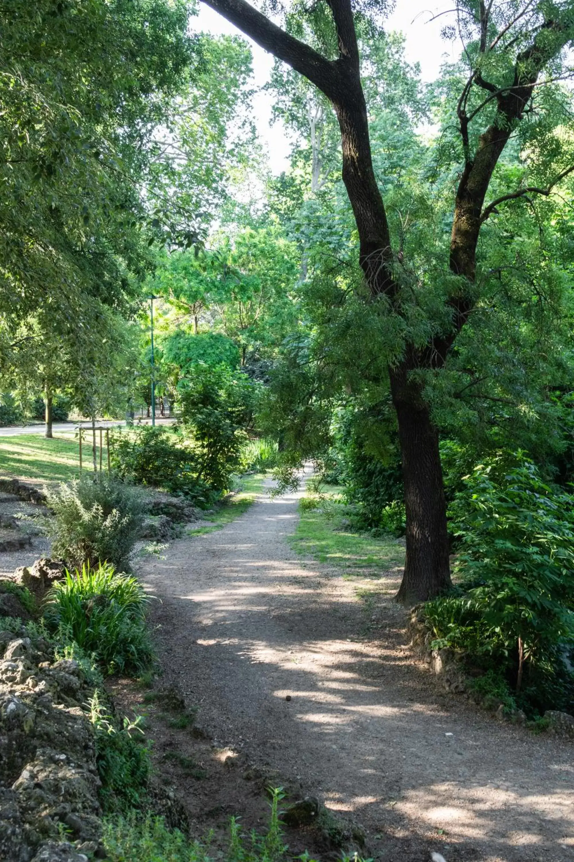 Natural landscape, Garden in Mokinba Hotels Baviera