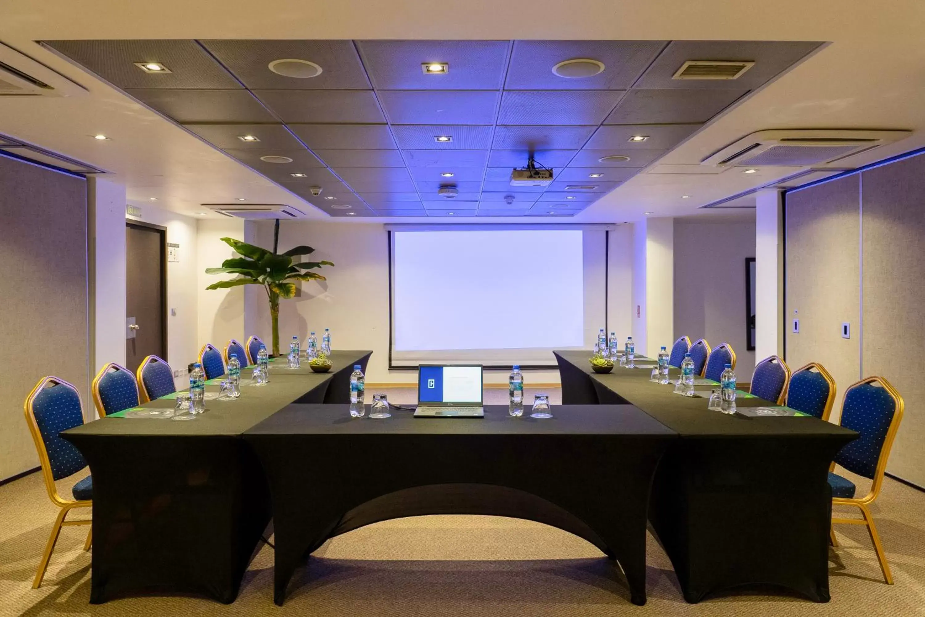 Meeting/conference room in Hotel Capital Bellet