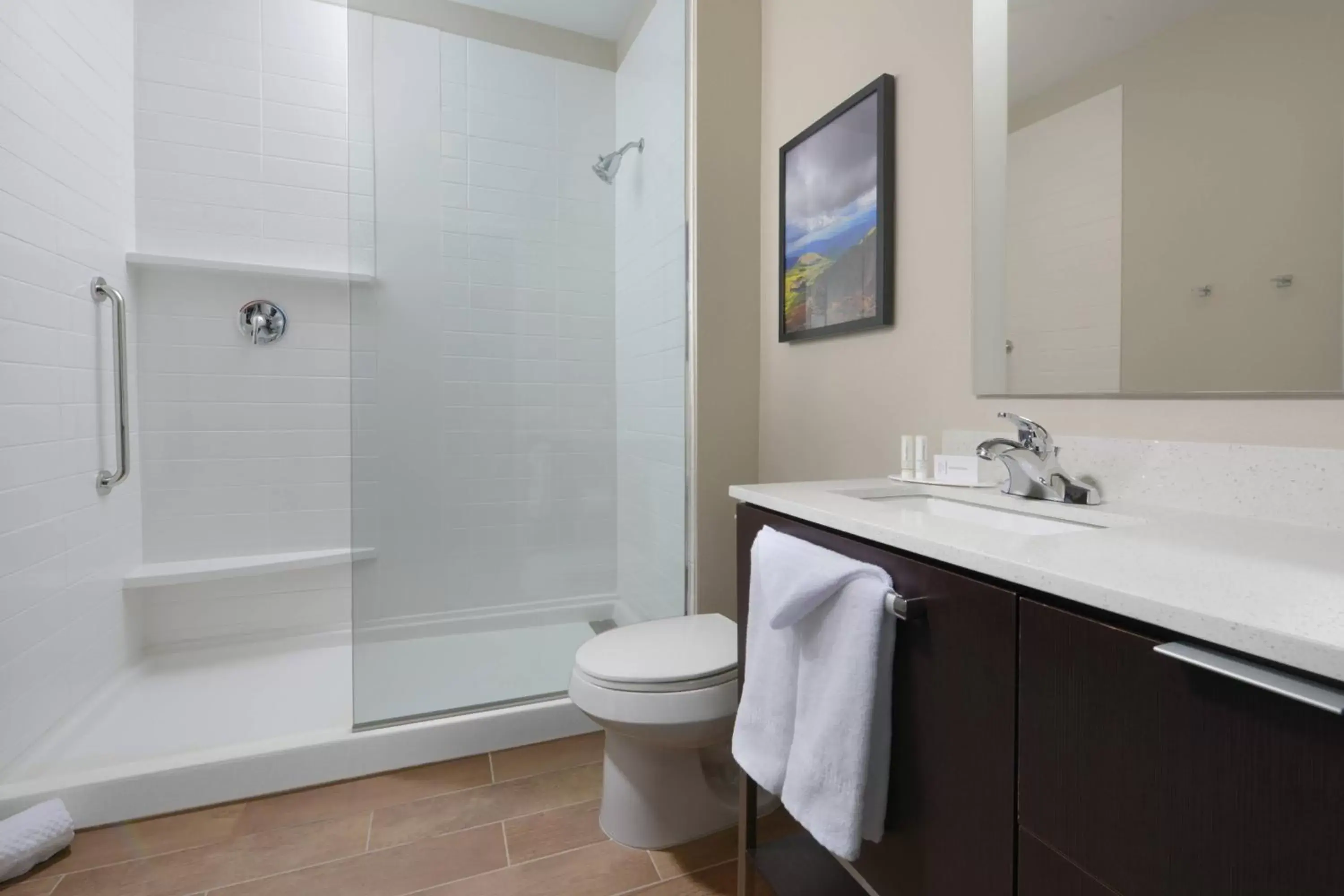 Bathroom in TownePlace Suites by Marriott Denver South/Lone Tree