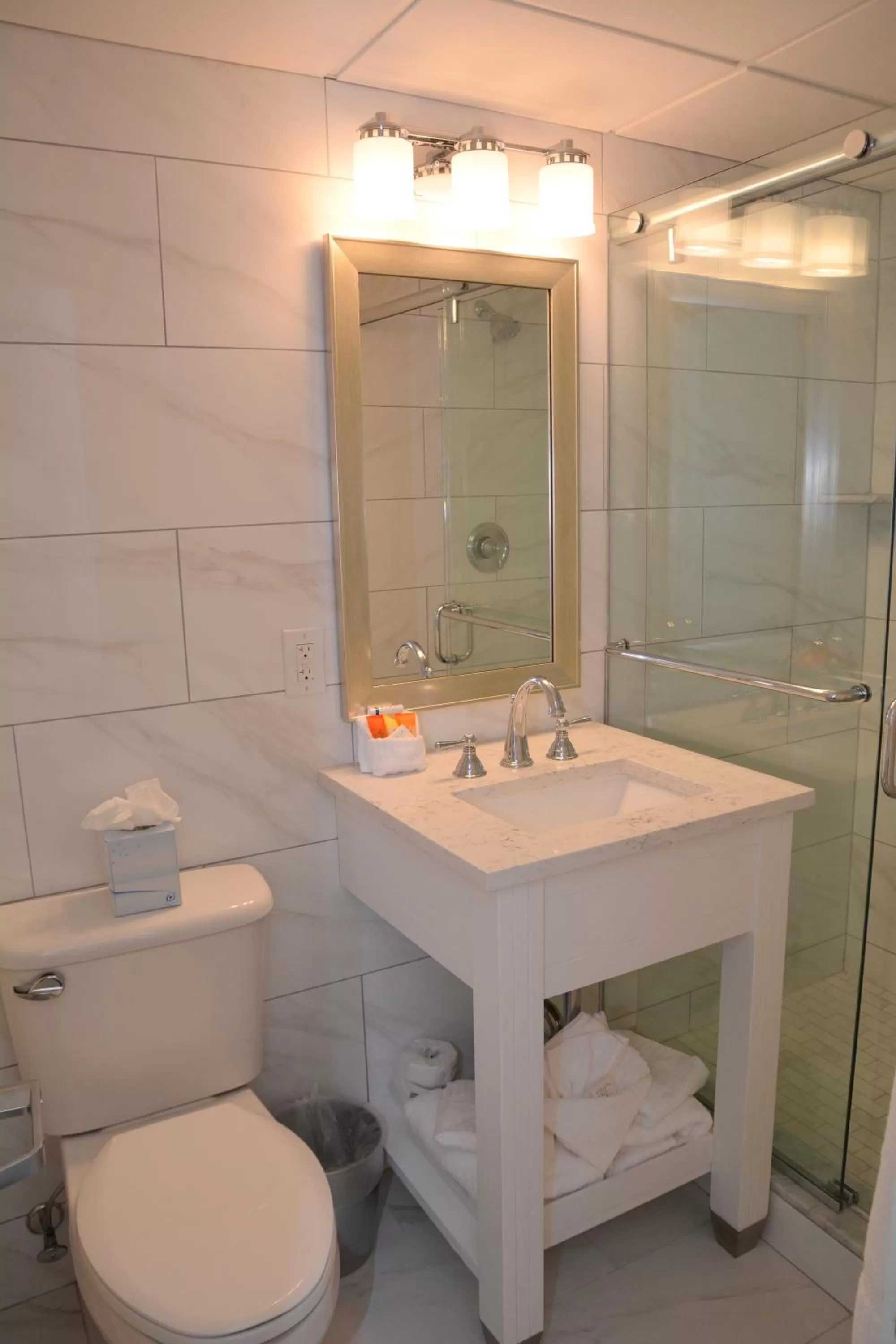 Toilet in ICONA Cape May