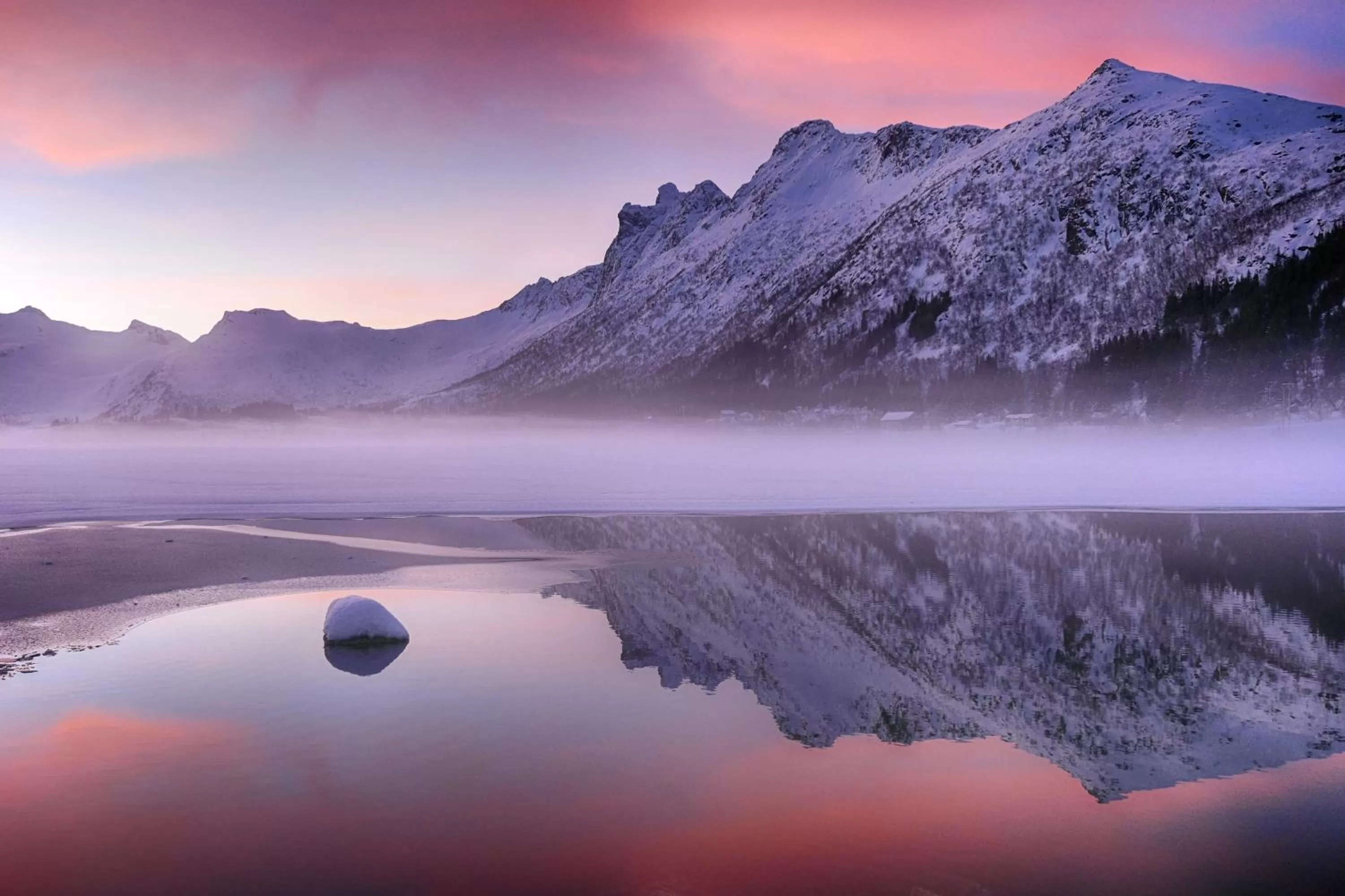 Natural landscape in Anker Brygge