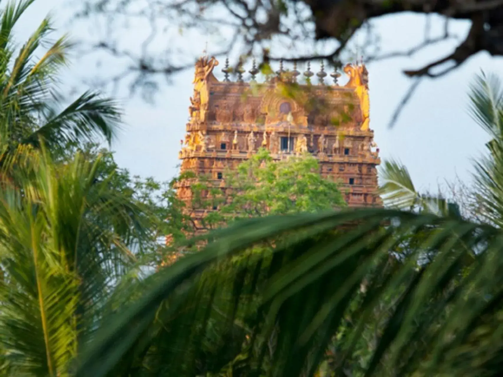 View (from property/room) in Jaffna Heritage Villa