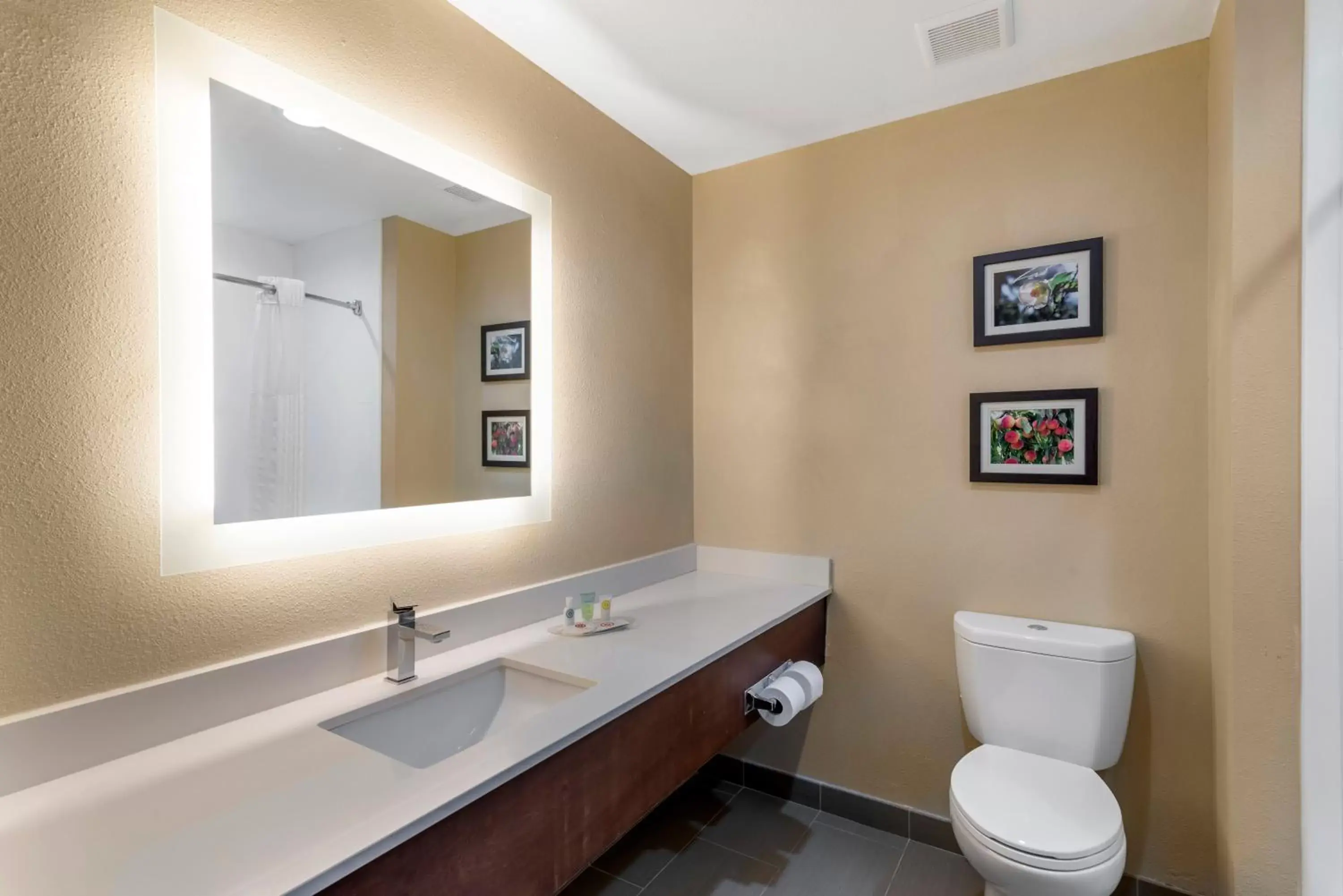 Bathroom in Comfort Suites Locust Grove Atlanta South
