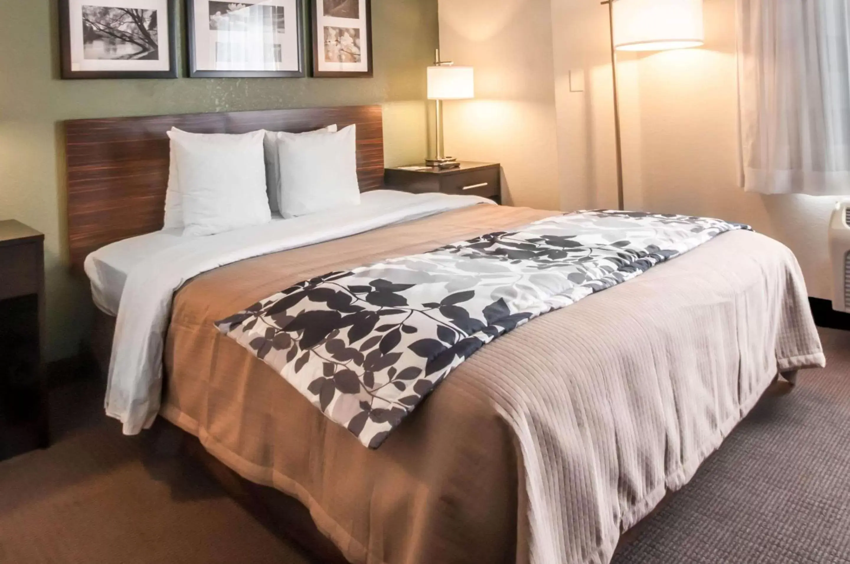 Photo of the whole room, Bed in Sleep Inn Cinnaminson - Philadelphia East Photo of the whole room, Bed in Sleep Inn Cinnaminson - Philadelphia East