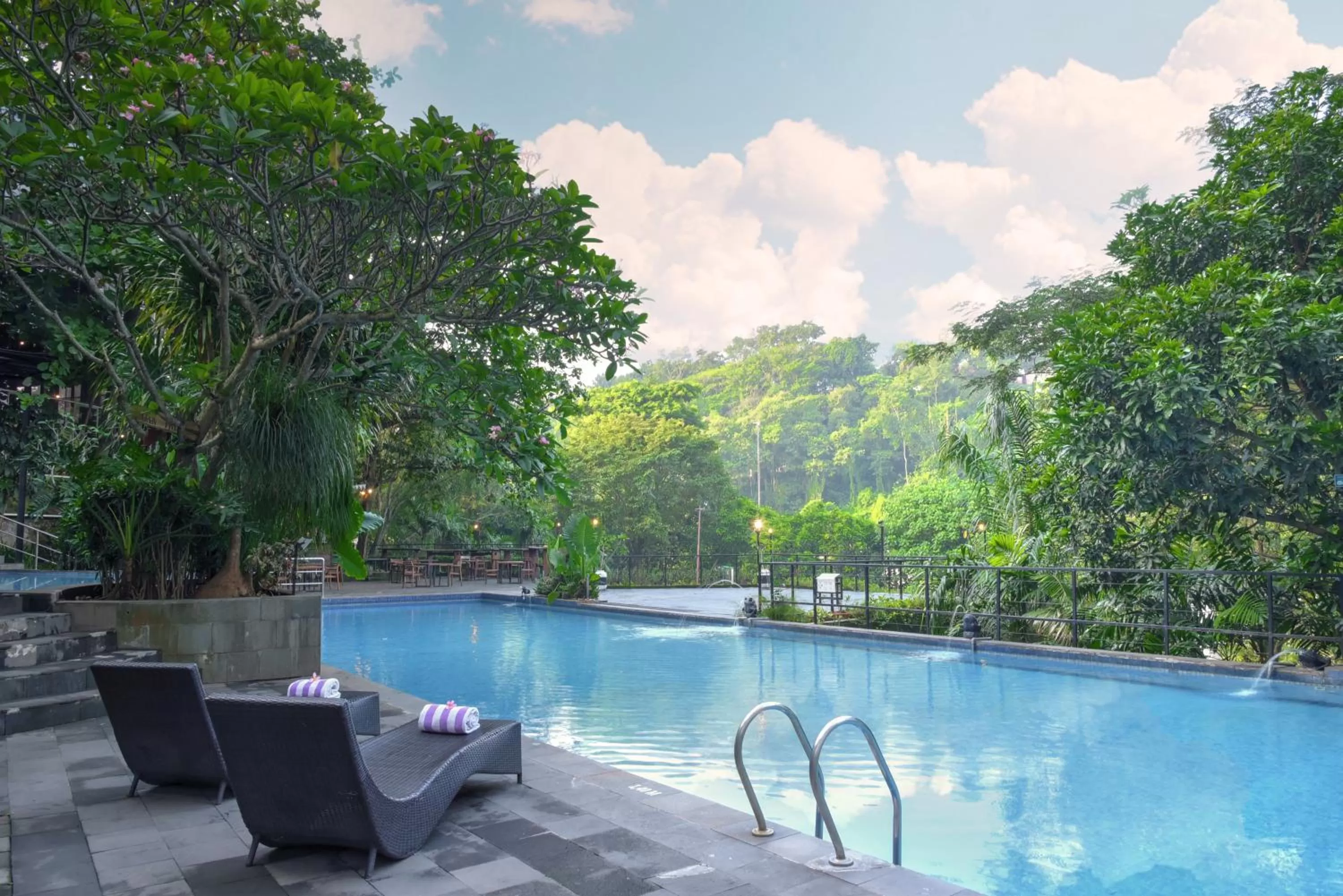 Swimming pool in Oak Tree Emerald Hotel & Coventions Semarang