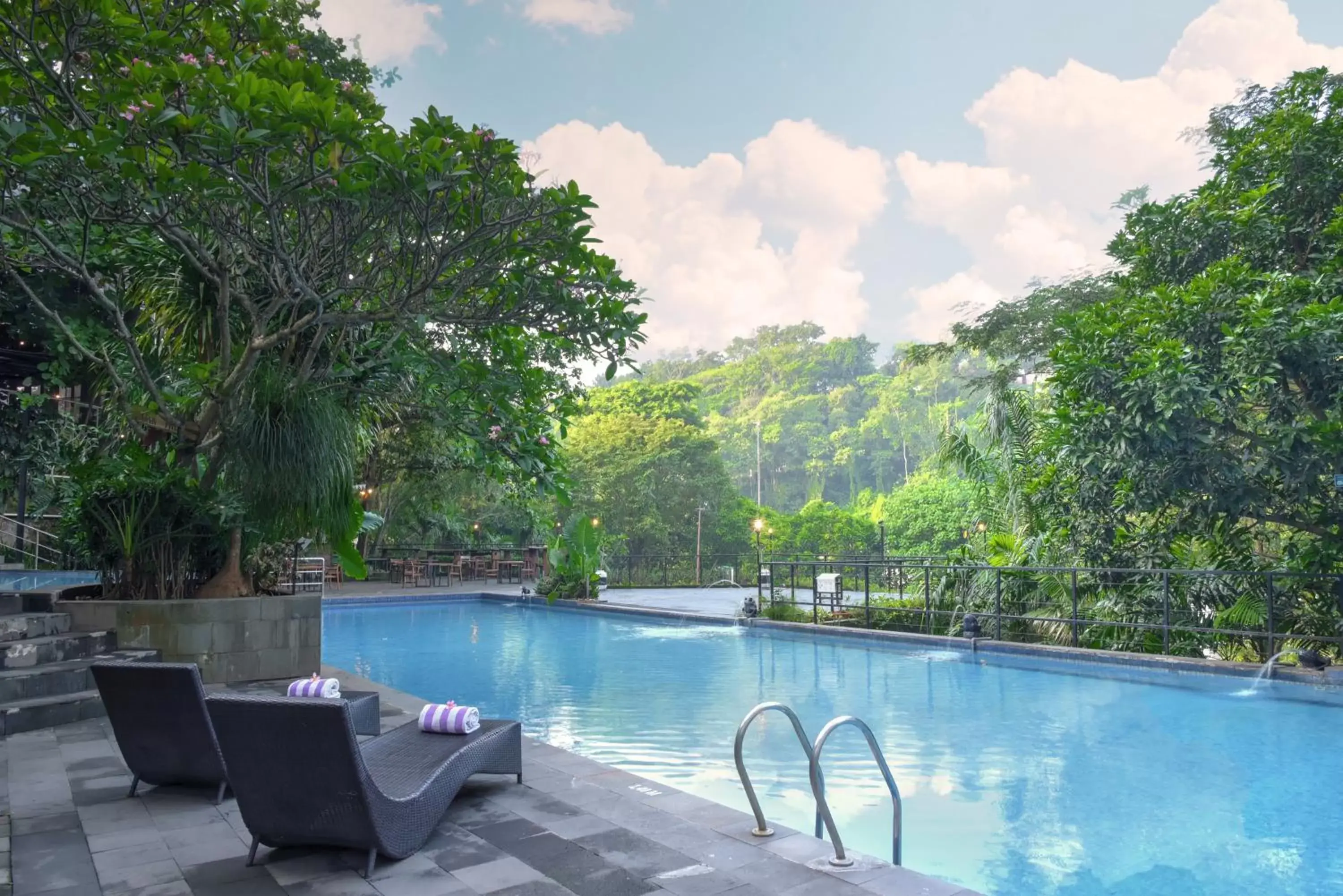 Swimming Pool in Oak Tree Emerald Semarang