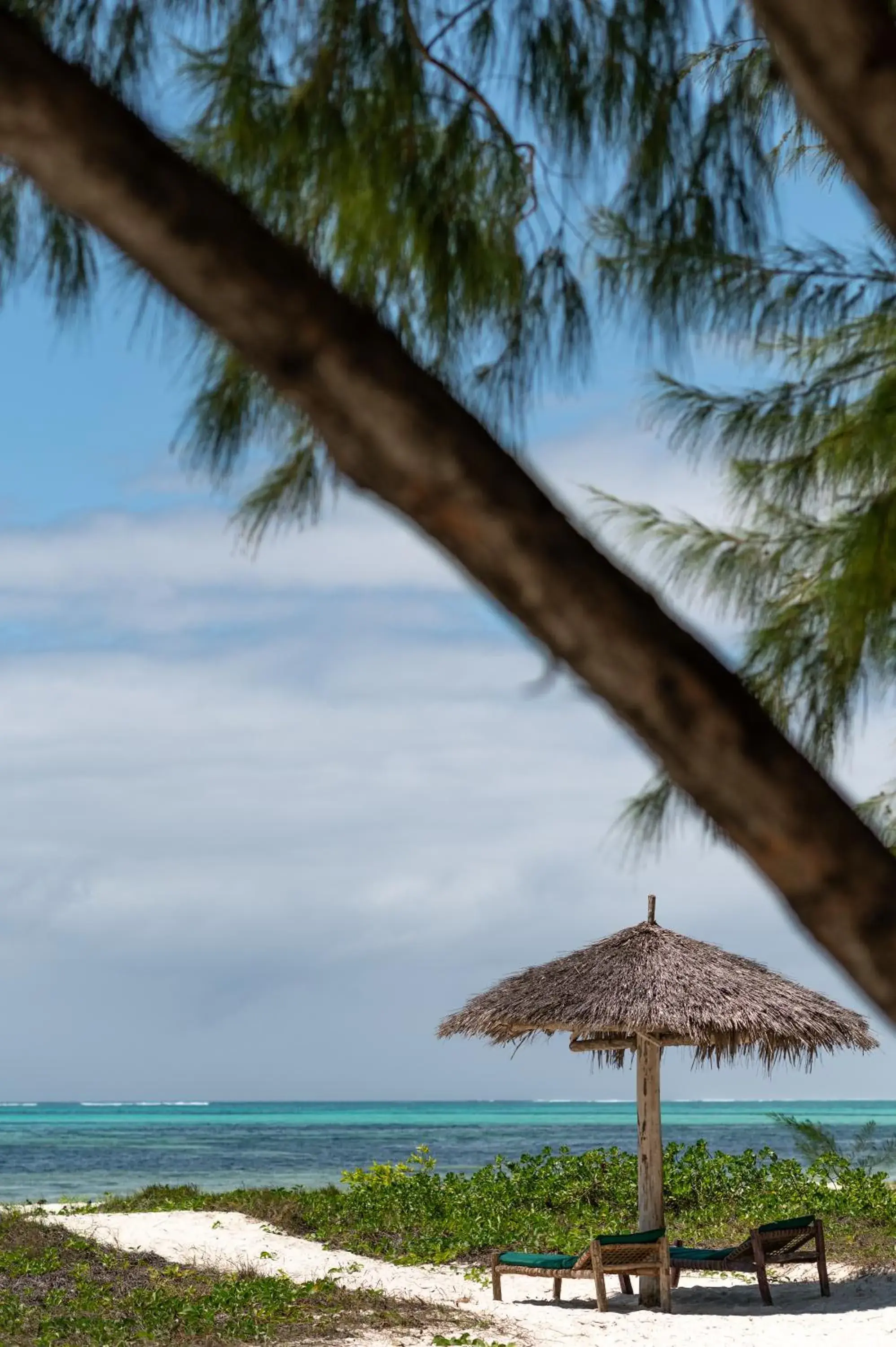 Natural landscape, Beach in Hakuna Majiwe Beach Lodge Zanzibar