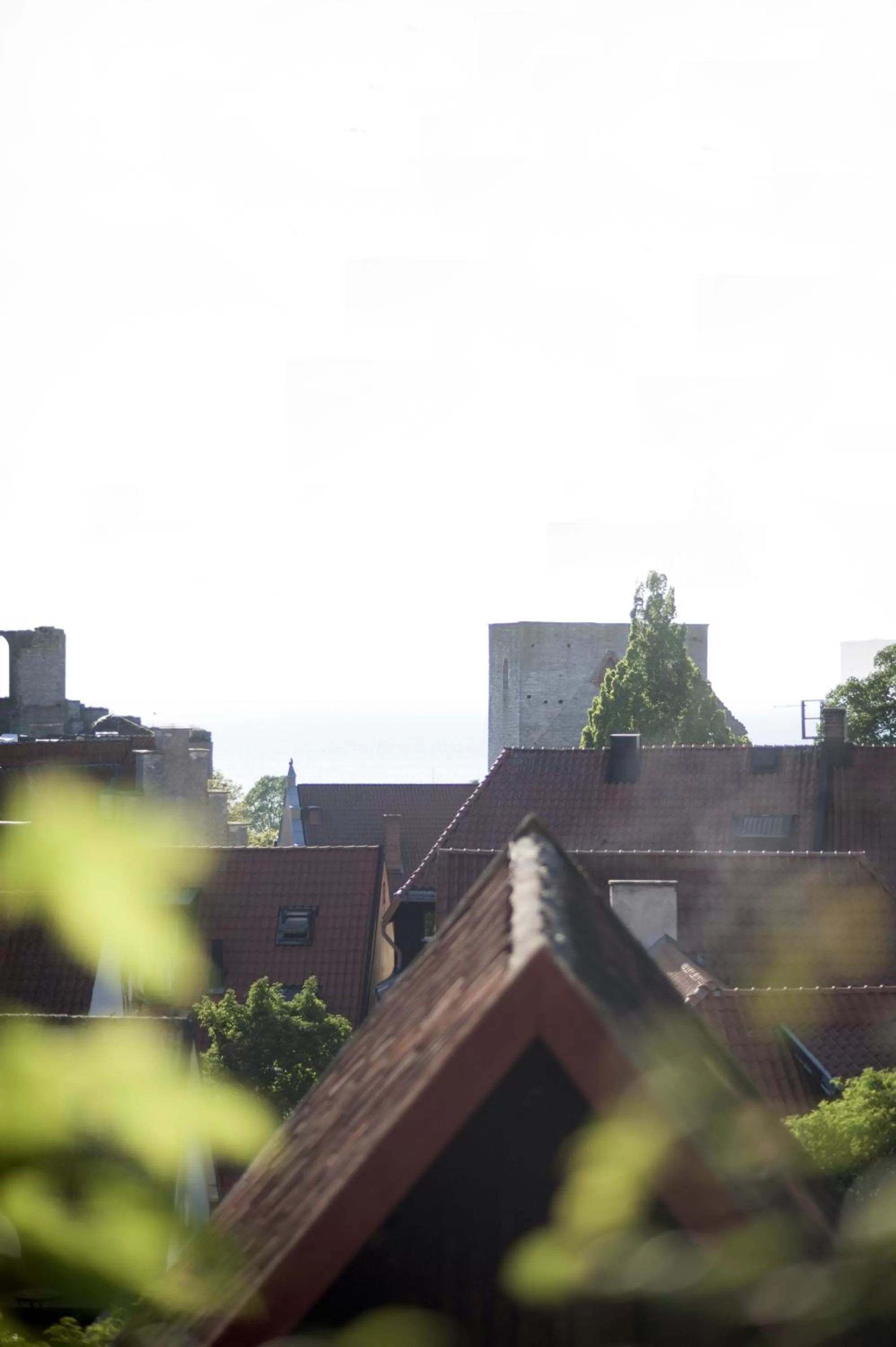 Area and facilities in Hotell Repet