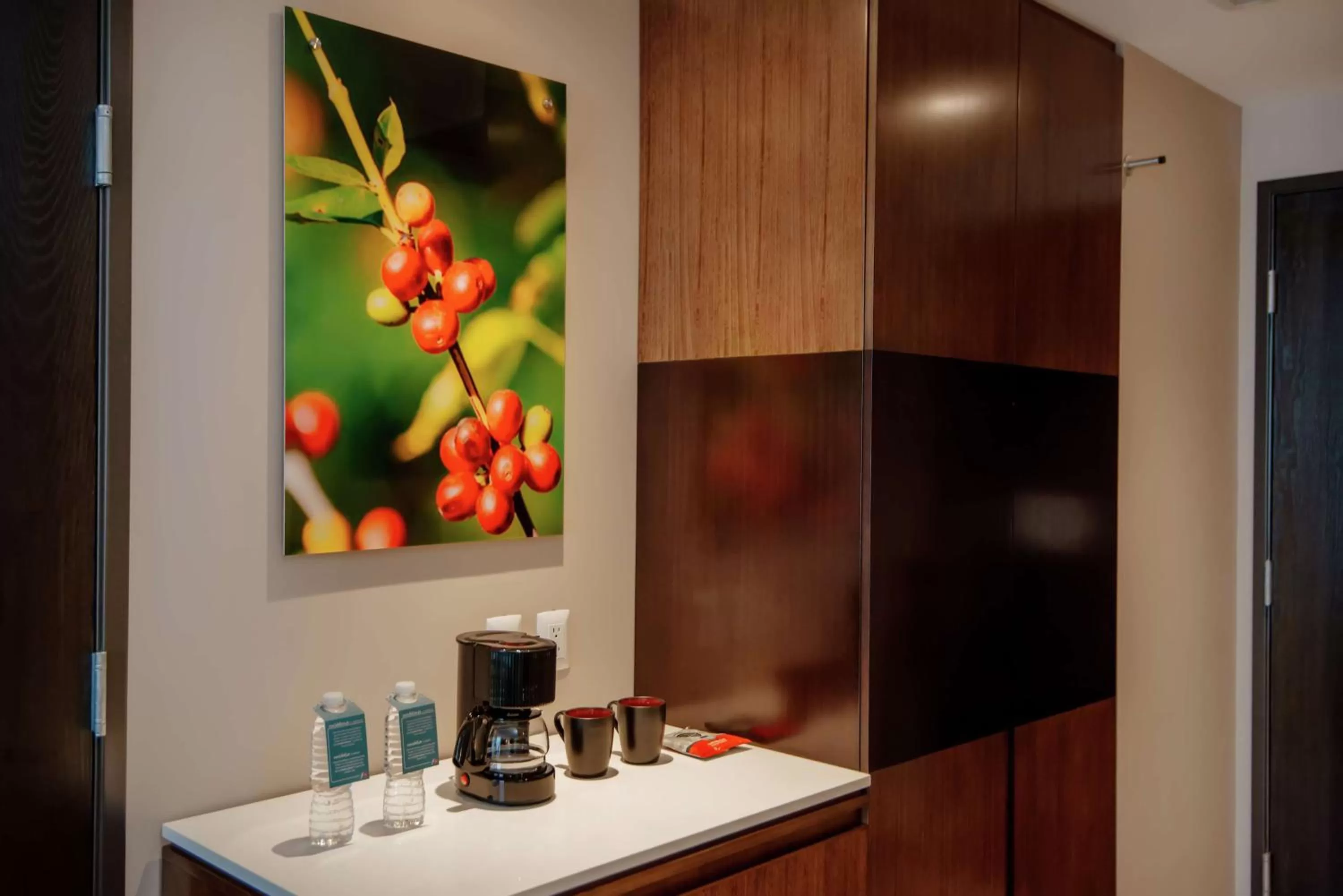 Photo of the whole room in Hilton Garden Inn Puebla Angelopolis