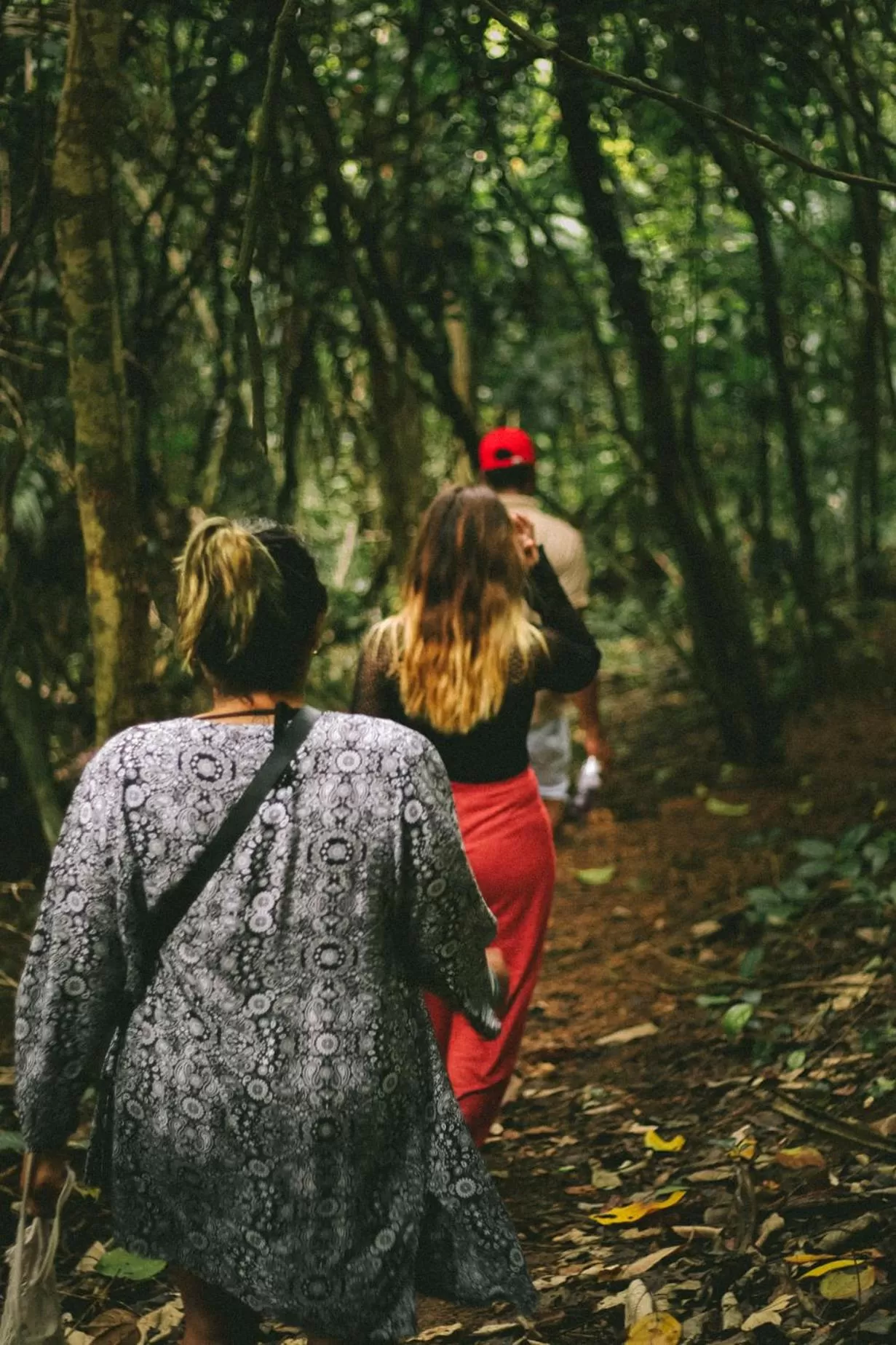 Hiking in Saboga Lodge