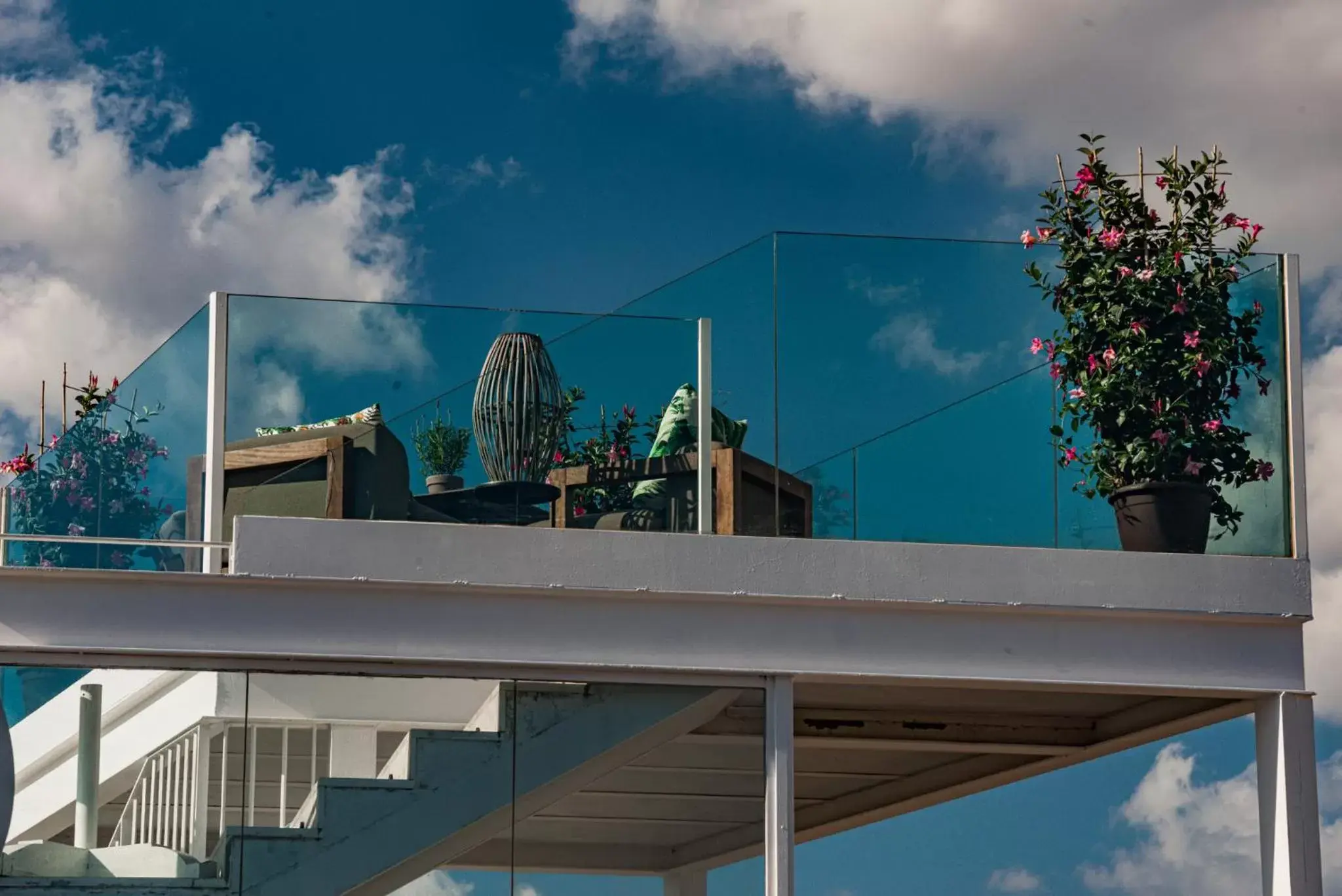 Balcony/Terrace, Swimming Pool in Purohotel Palma