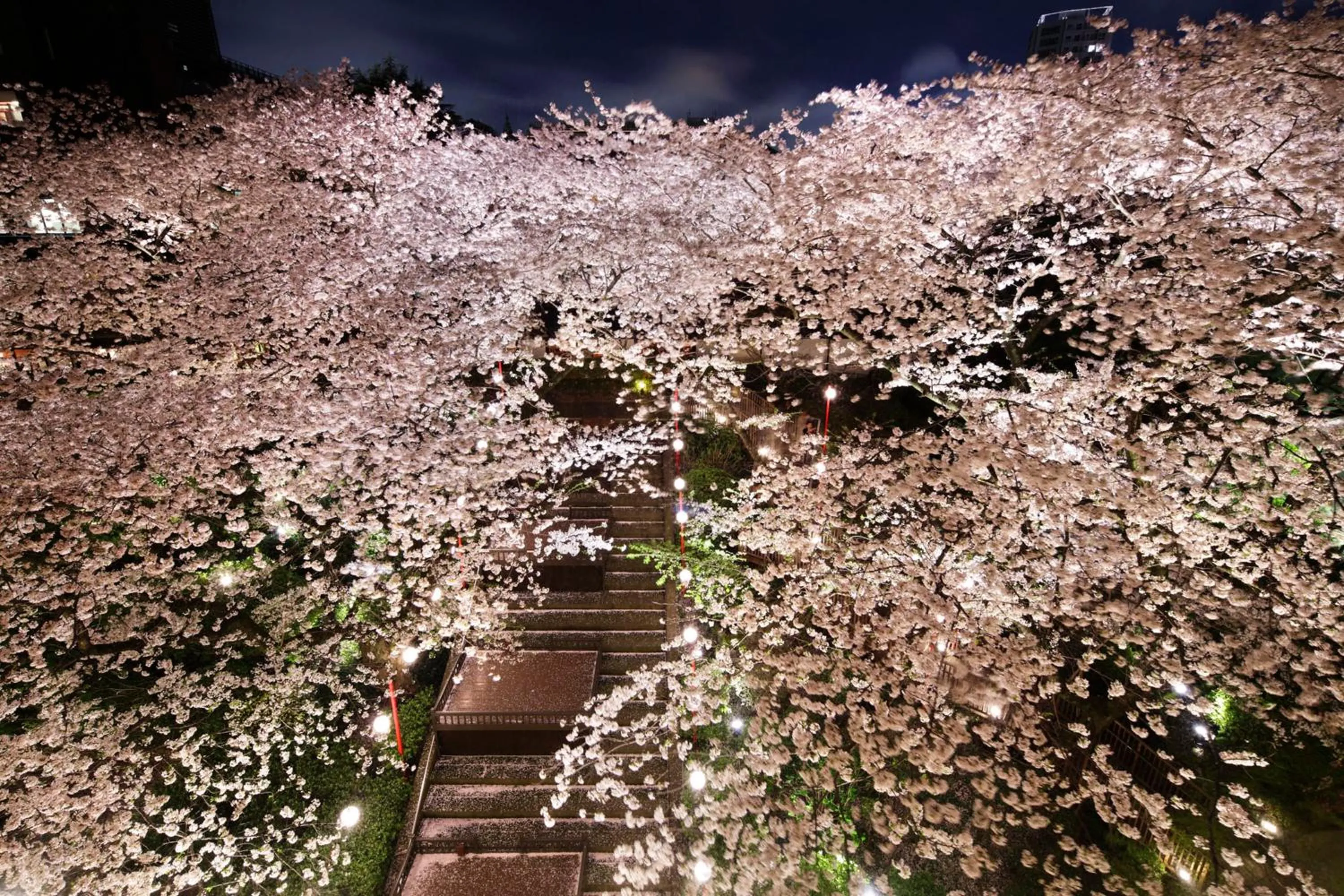 Garden in The Prince Sakura Tower Tokyo, Autograph Collection